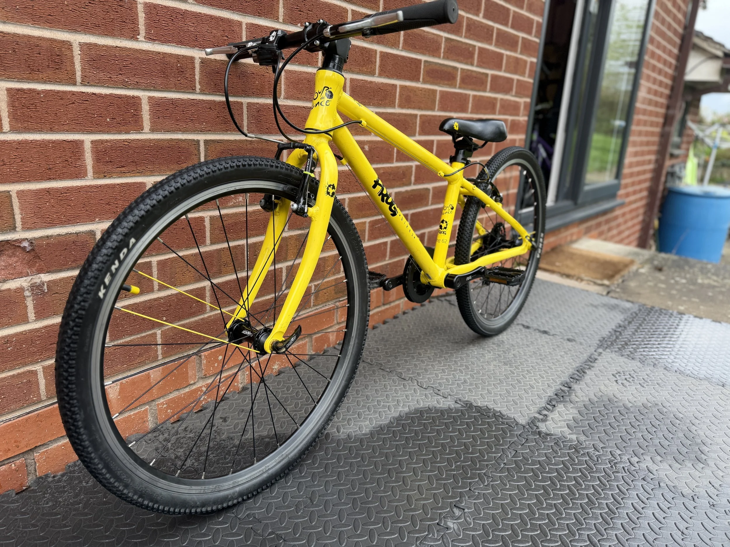 Frog 24” hybrid 5 .jpg