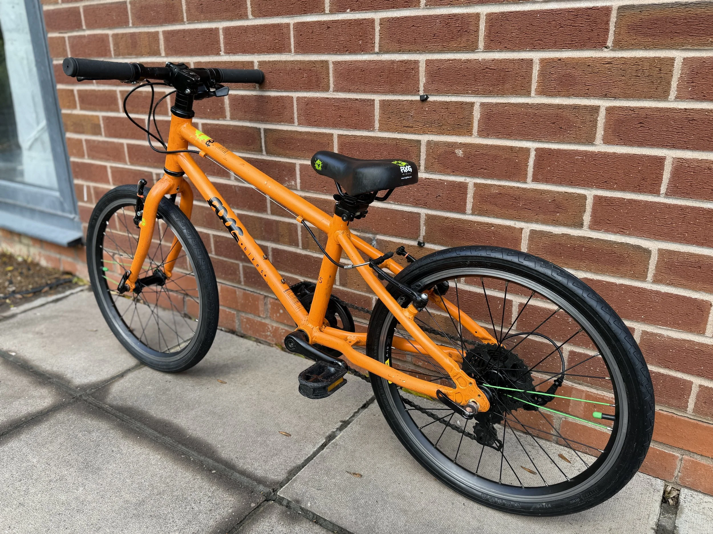 Frog Bike 55 4 .jpg