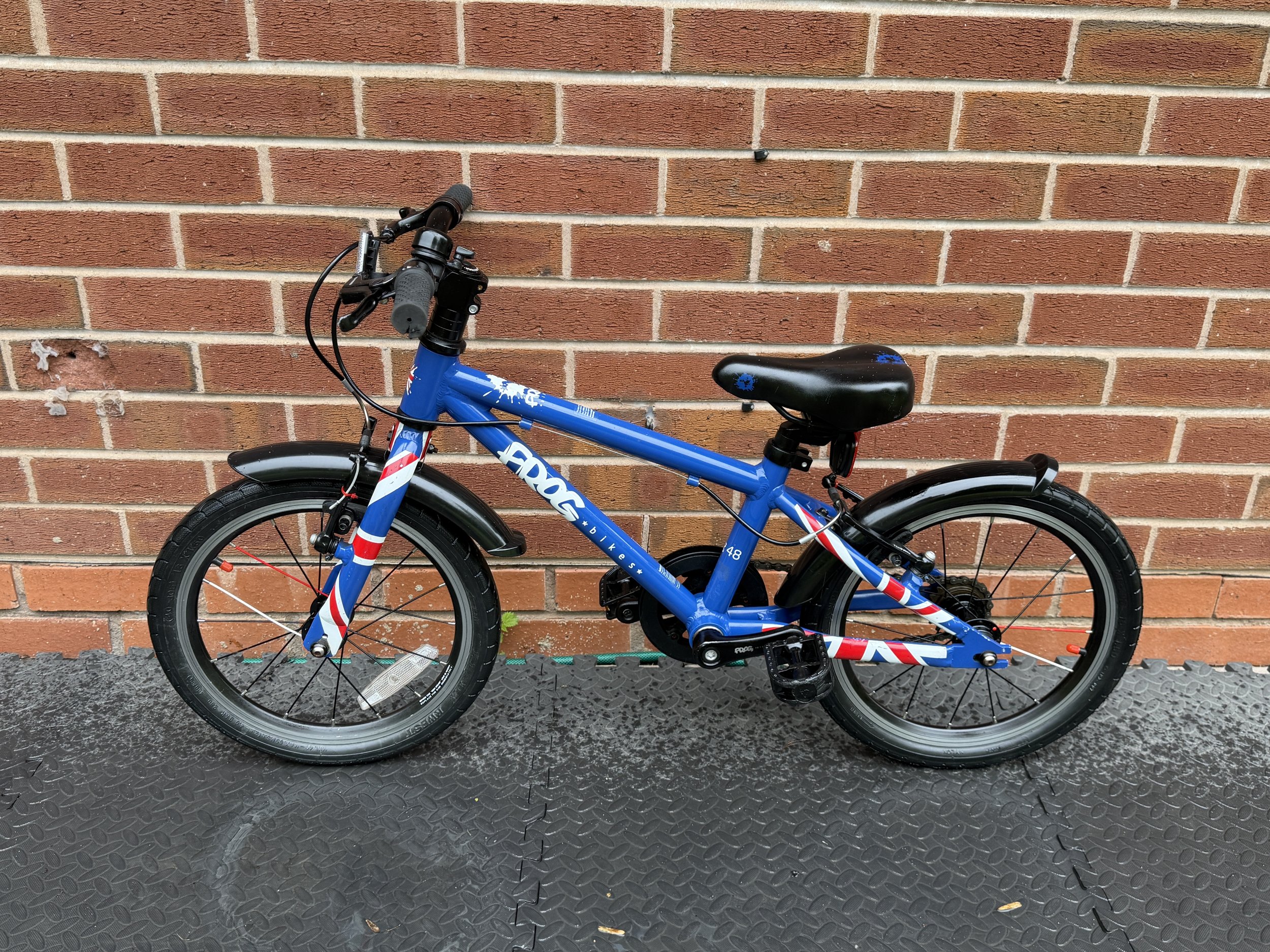 Blue Frog first pedal bike 1 .jpg