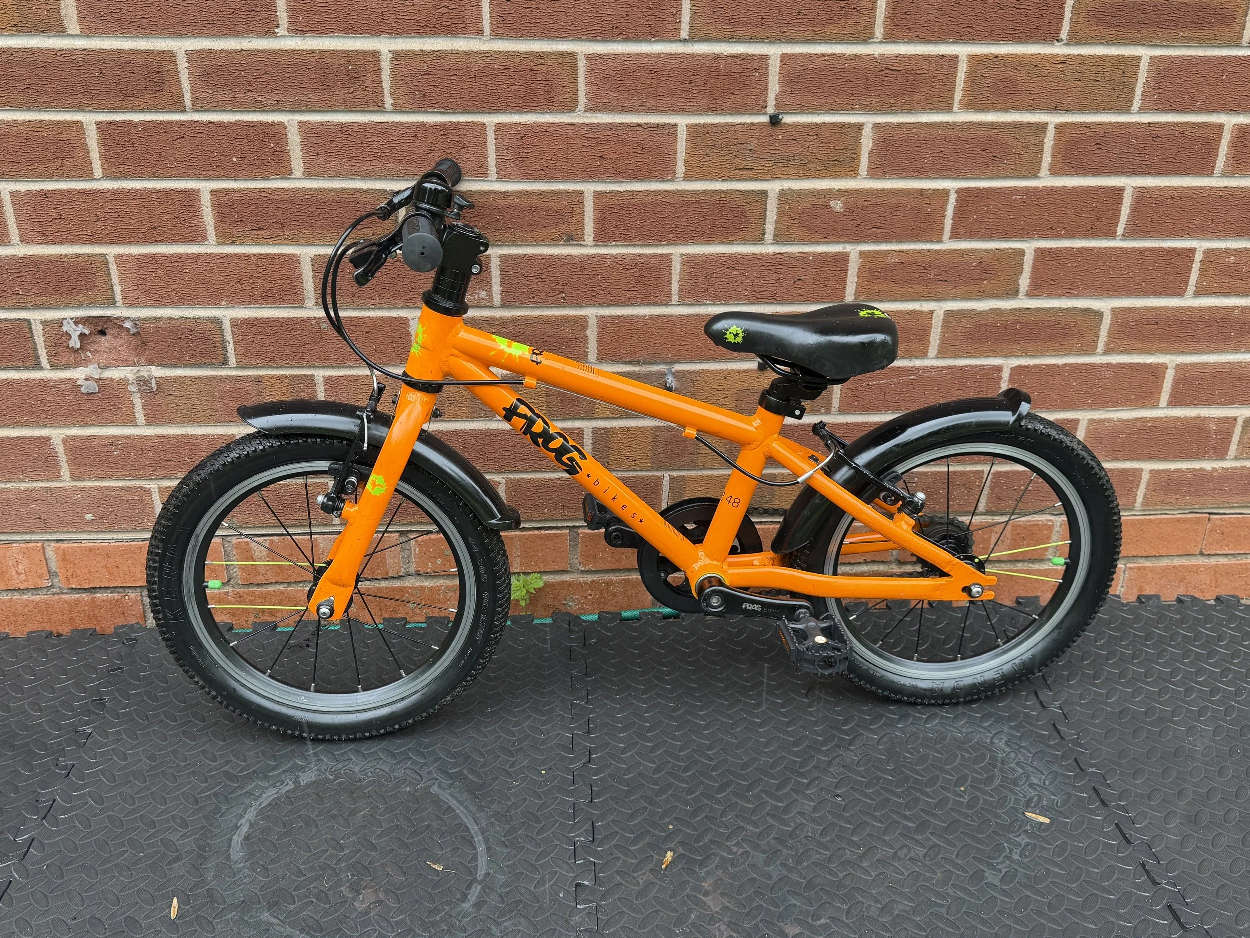 Orange Frog 48 1 .jpg