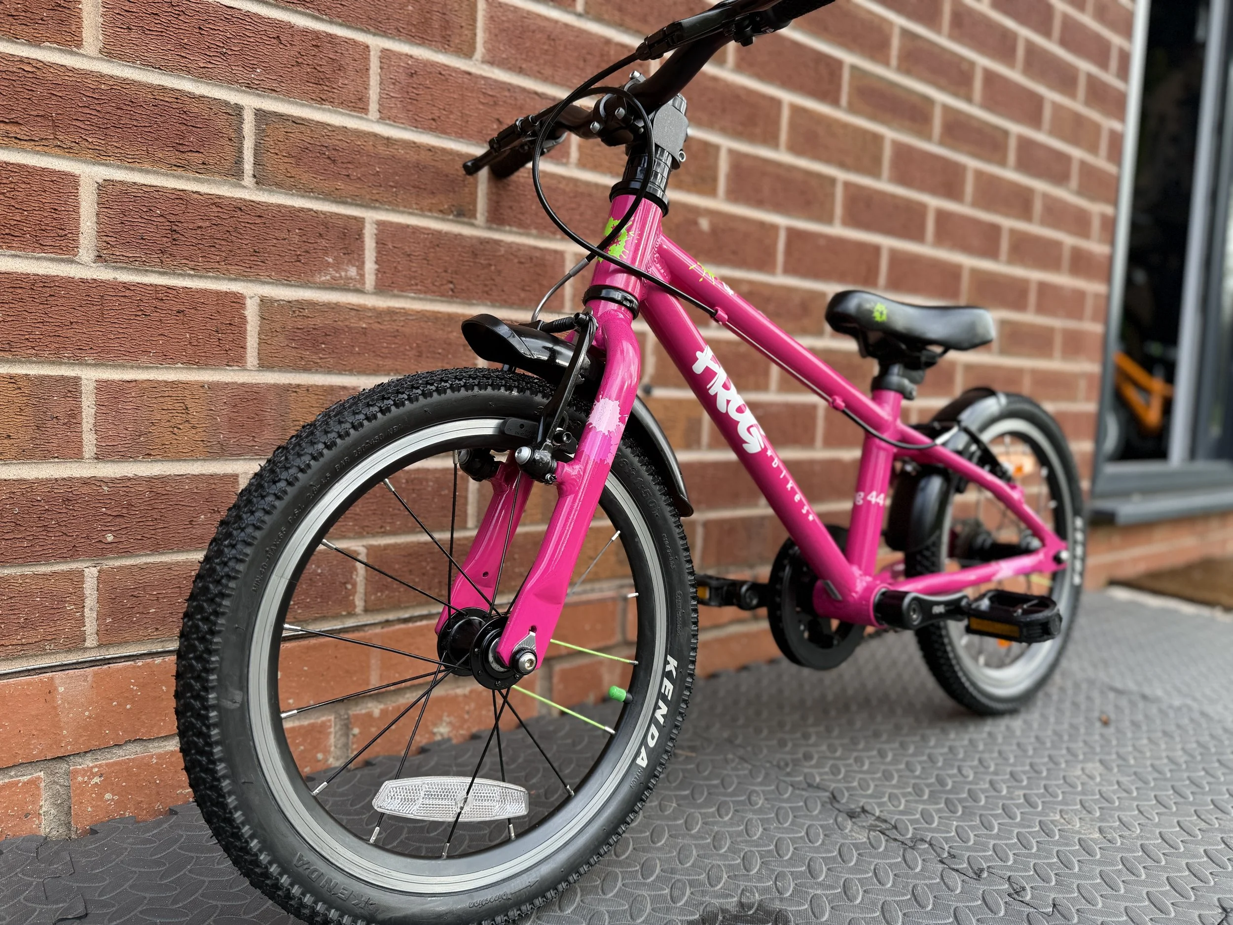 Pink Frog Bike 44 5.jpg