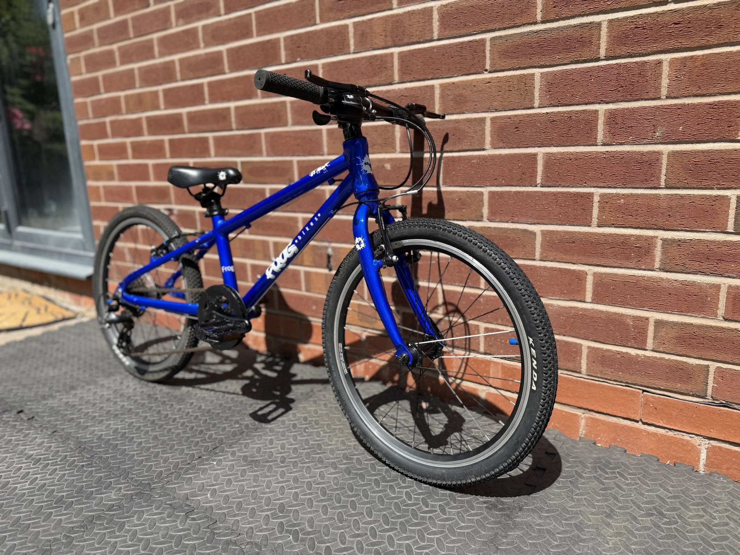 Electric Blue Frog 52 For Sale 9  2.jpg