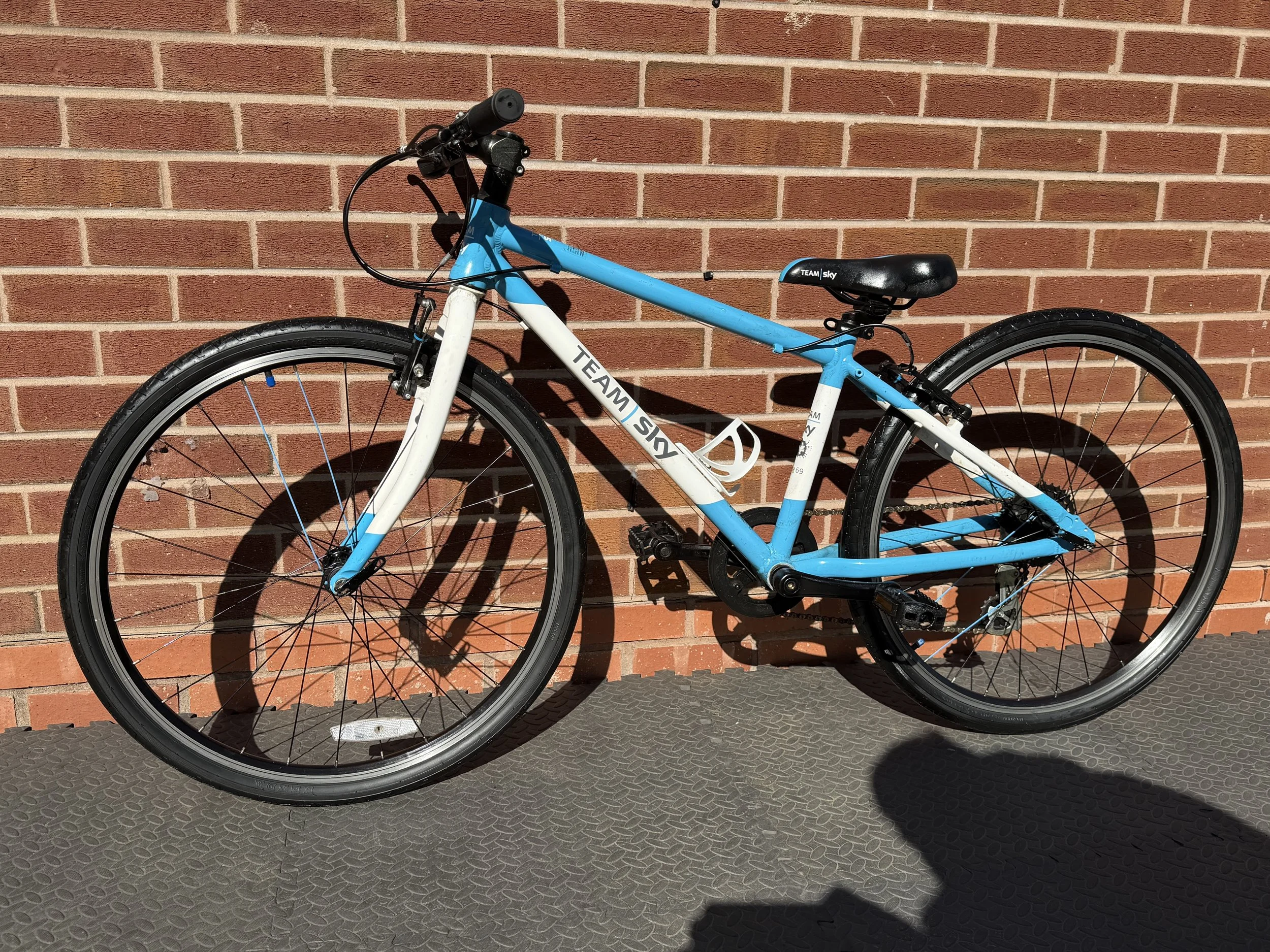 Team Sky Frog 69 2 .jpg