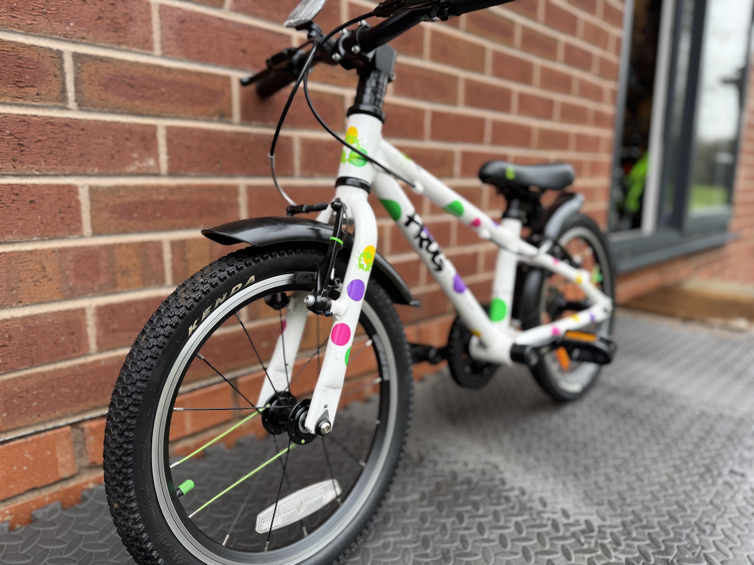 White Spotty Frog 44 5.jpg