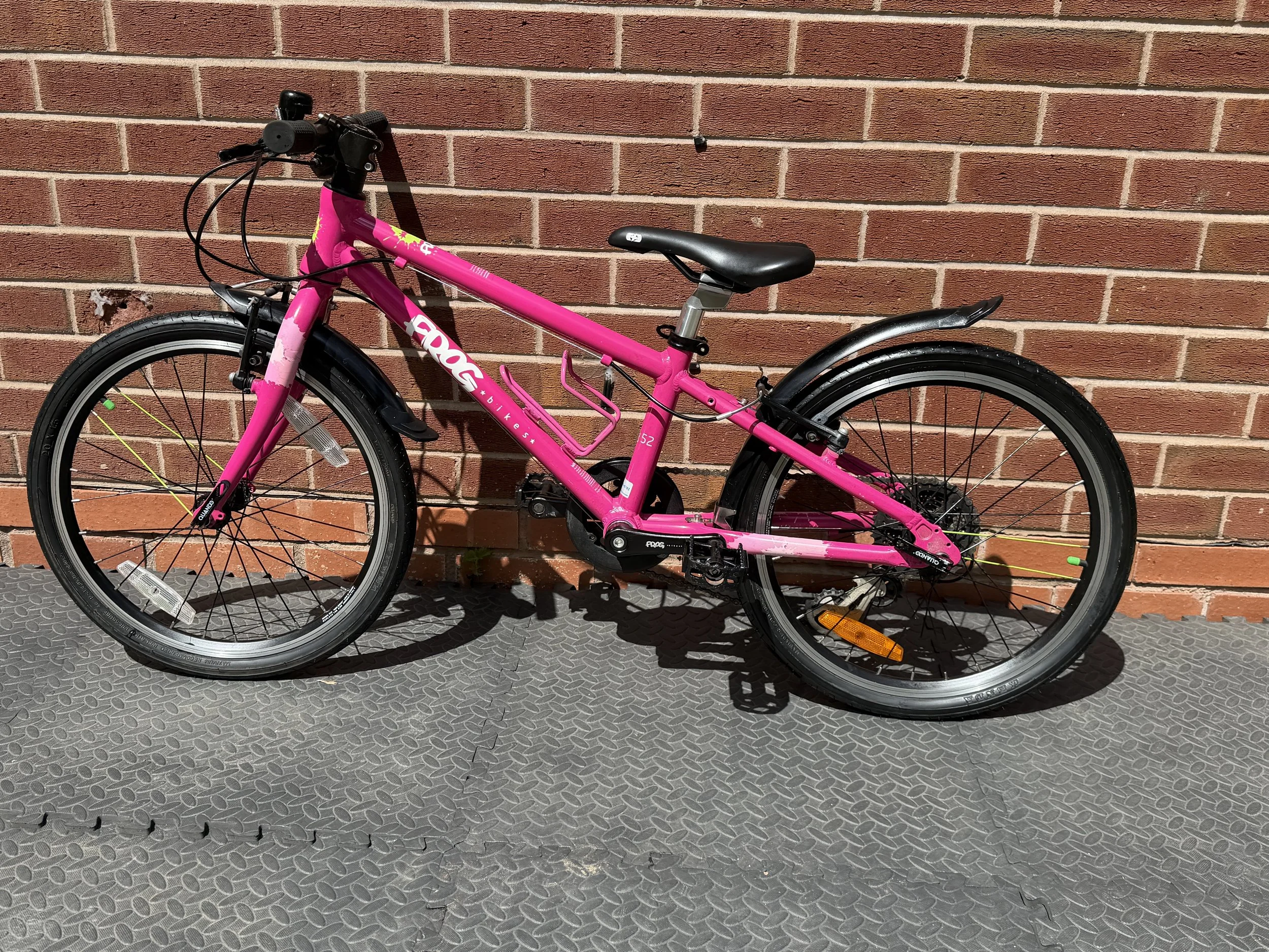 Pink Frog Bike 52 3 .jpg