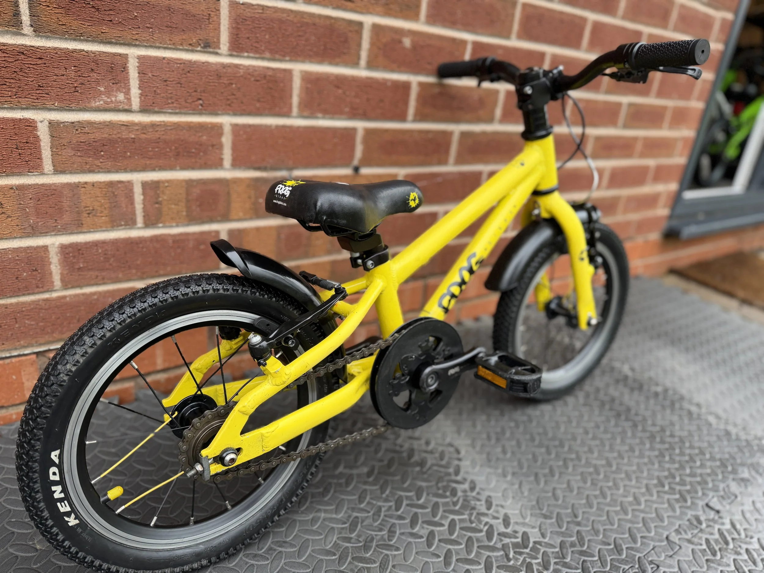 Yellow Frog Bike 40 2 .jpg