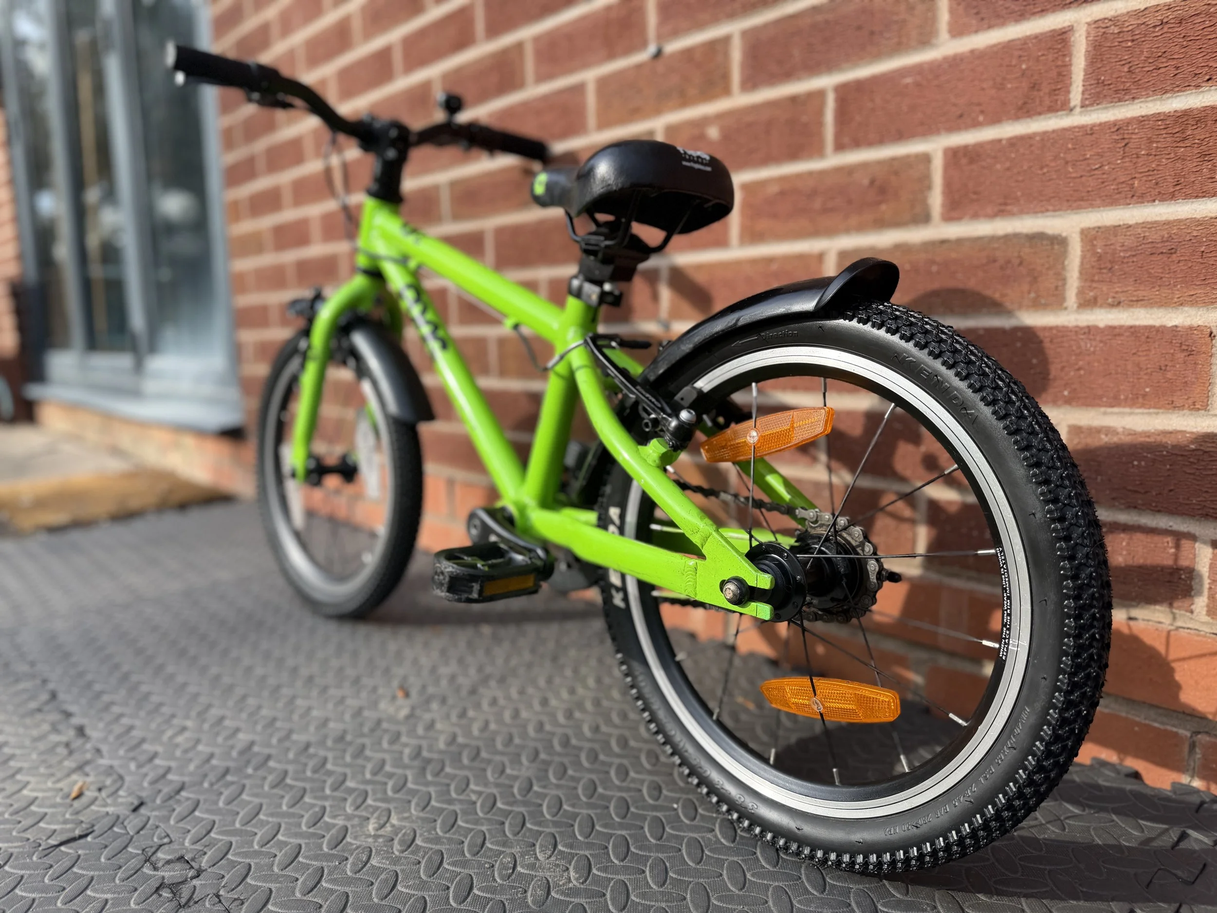 Green Frog Bike 48 1 .jpg