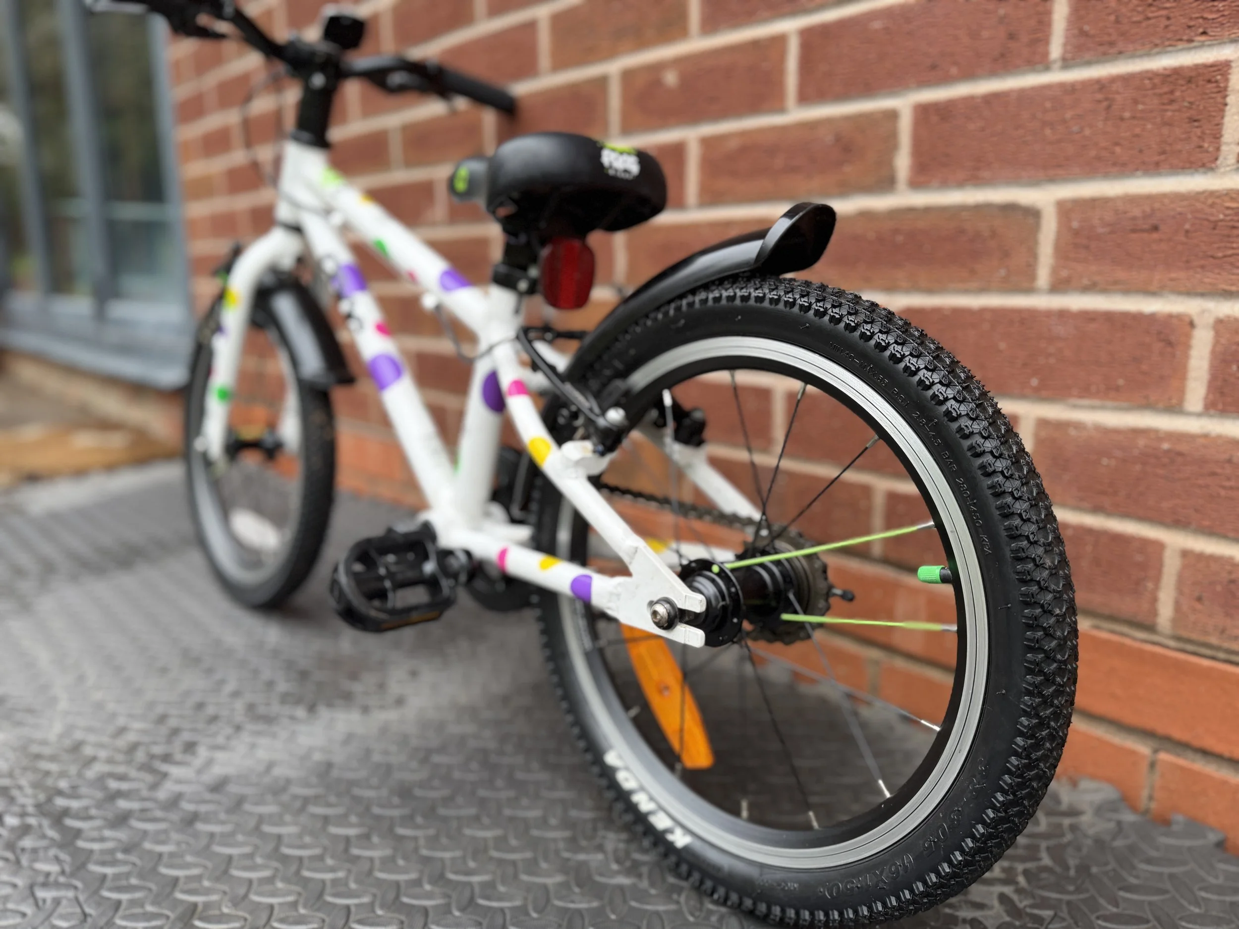 White Spotty Frog 44 4.jpg