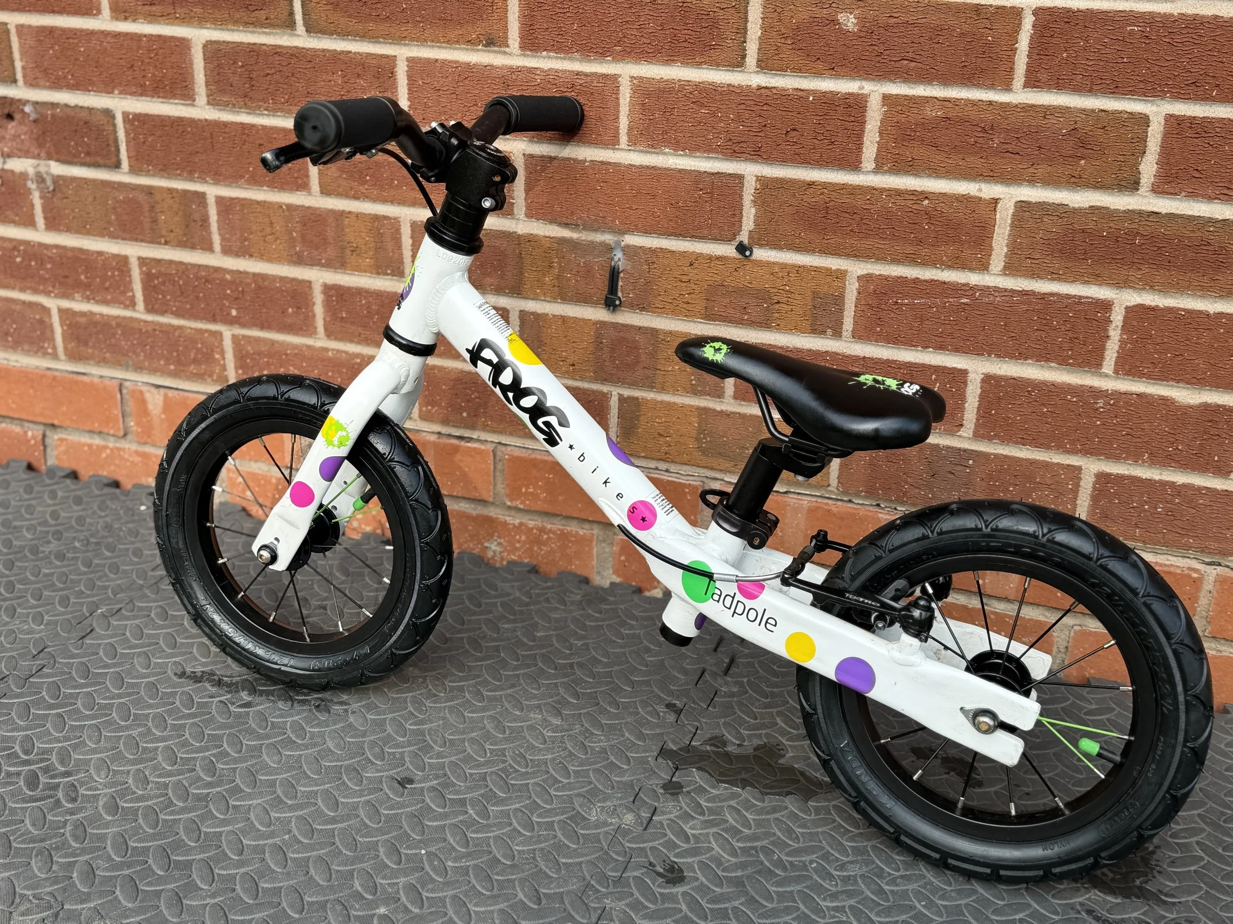 Frog Bikes Three54 ride store 3 .jpg