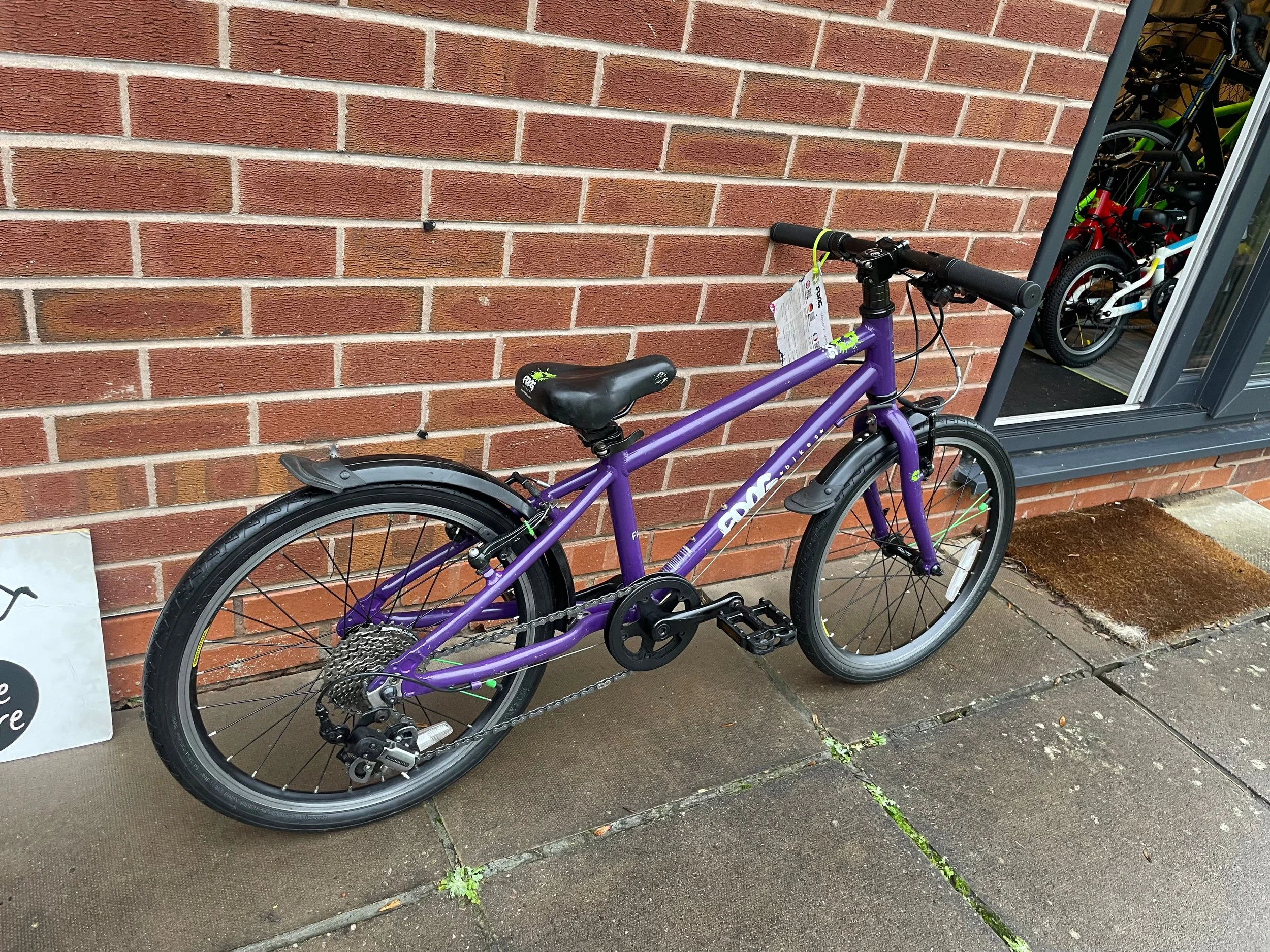 Frog 55 Purple 7.jpg