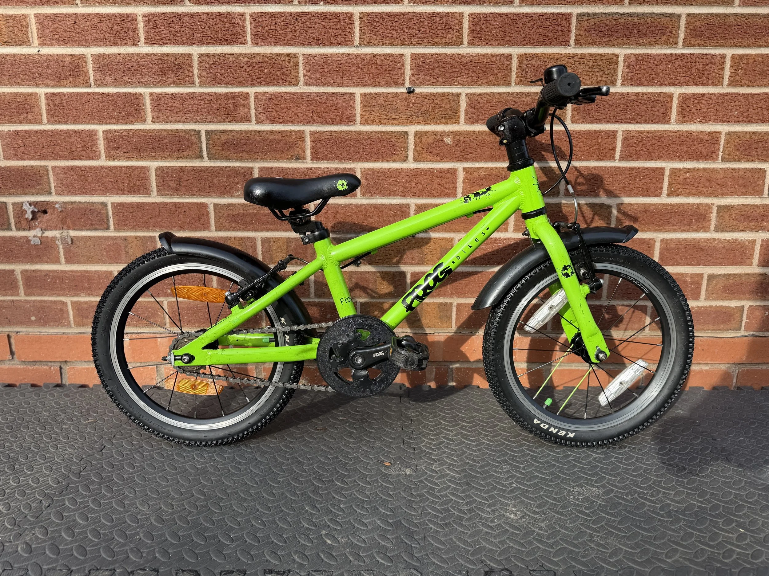 Green Frog Bike 48 6 .jpg