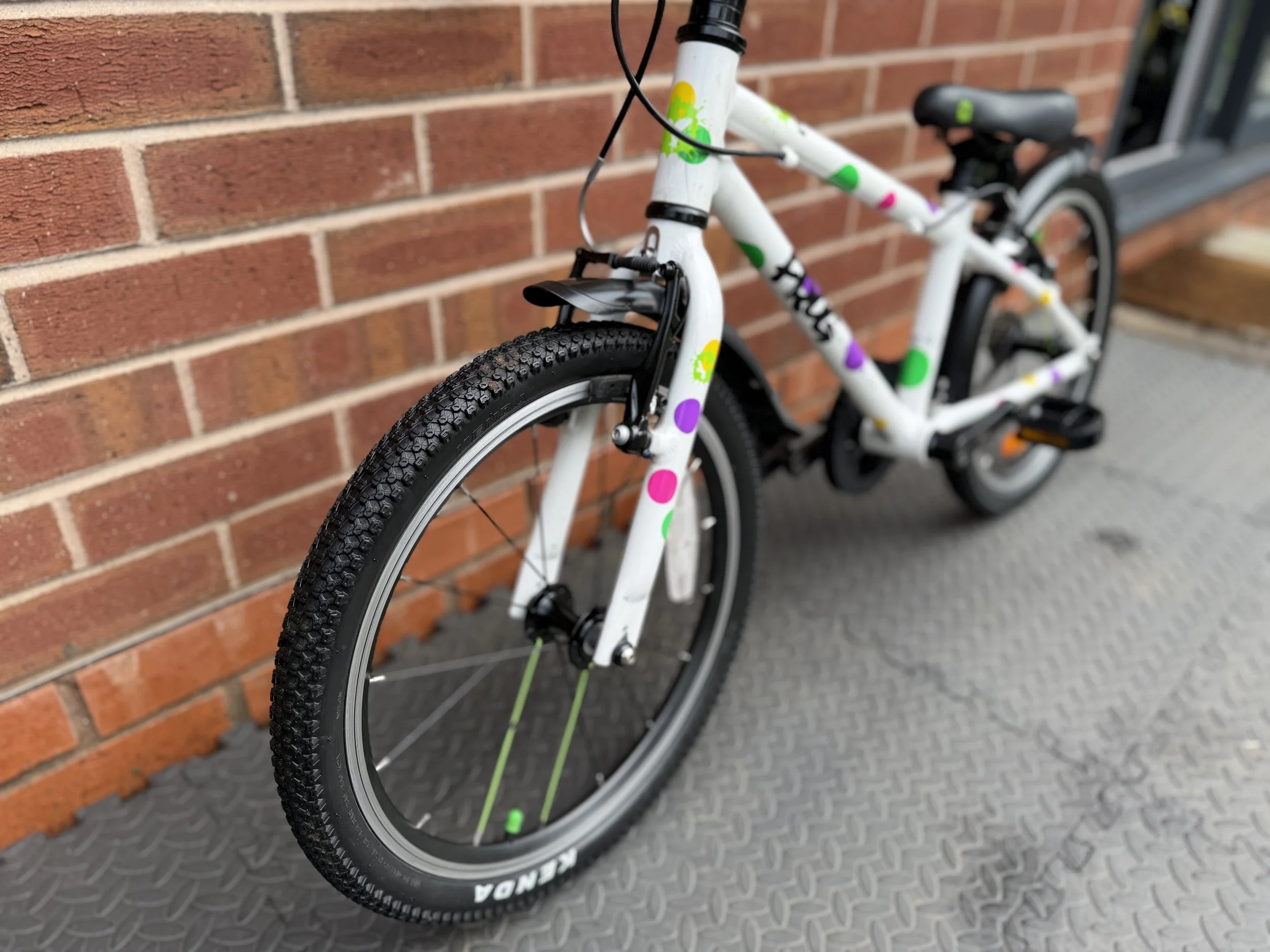 Spotty Frog 47 5.jpg