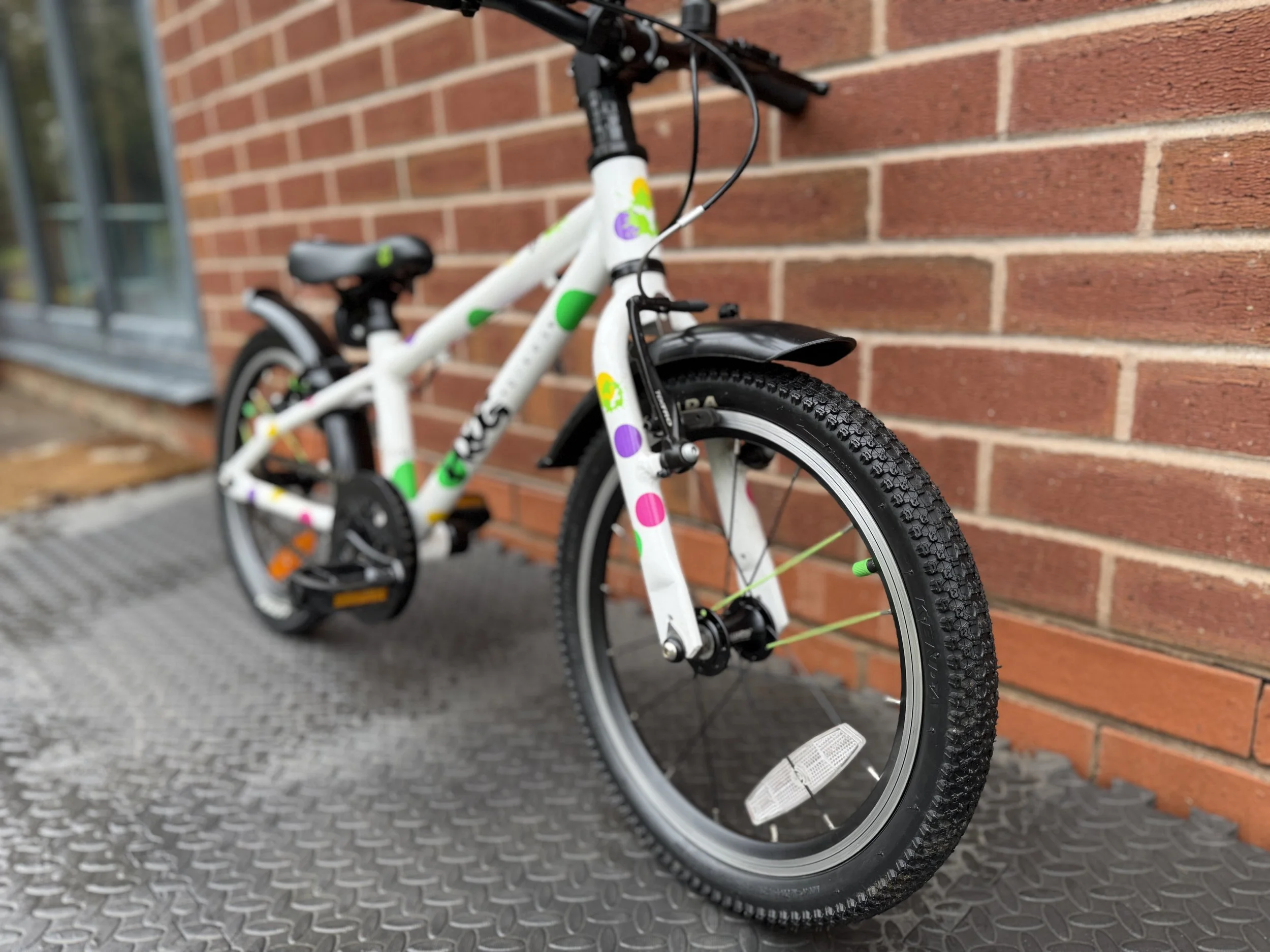 White Spotty Frog 44 9 .jpg