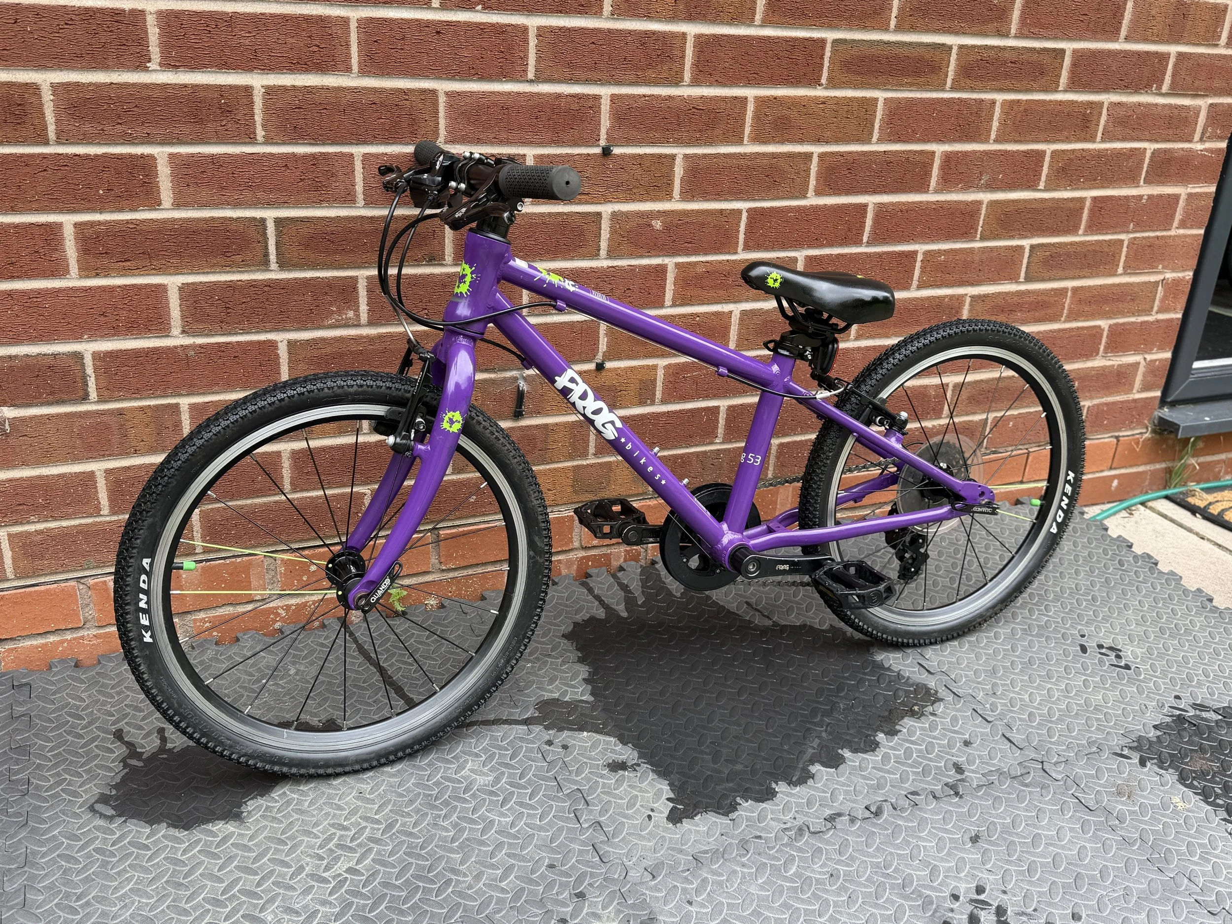 Purple Frog 53 2 .jpg