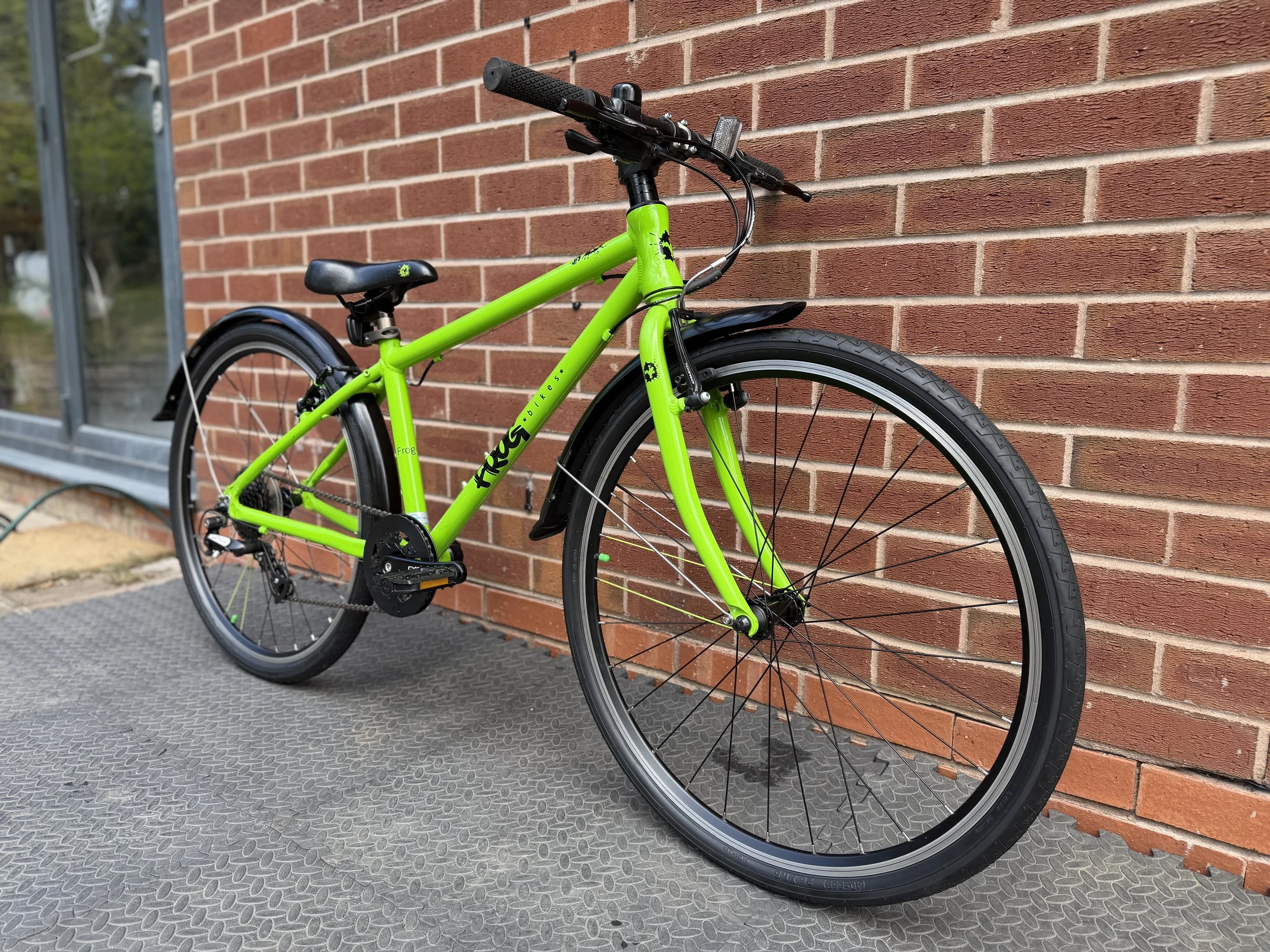 Green Frog 69 9 .jpg