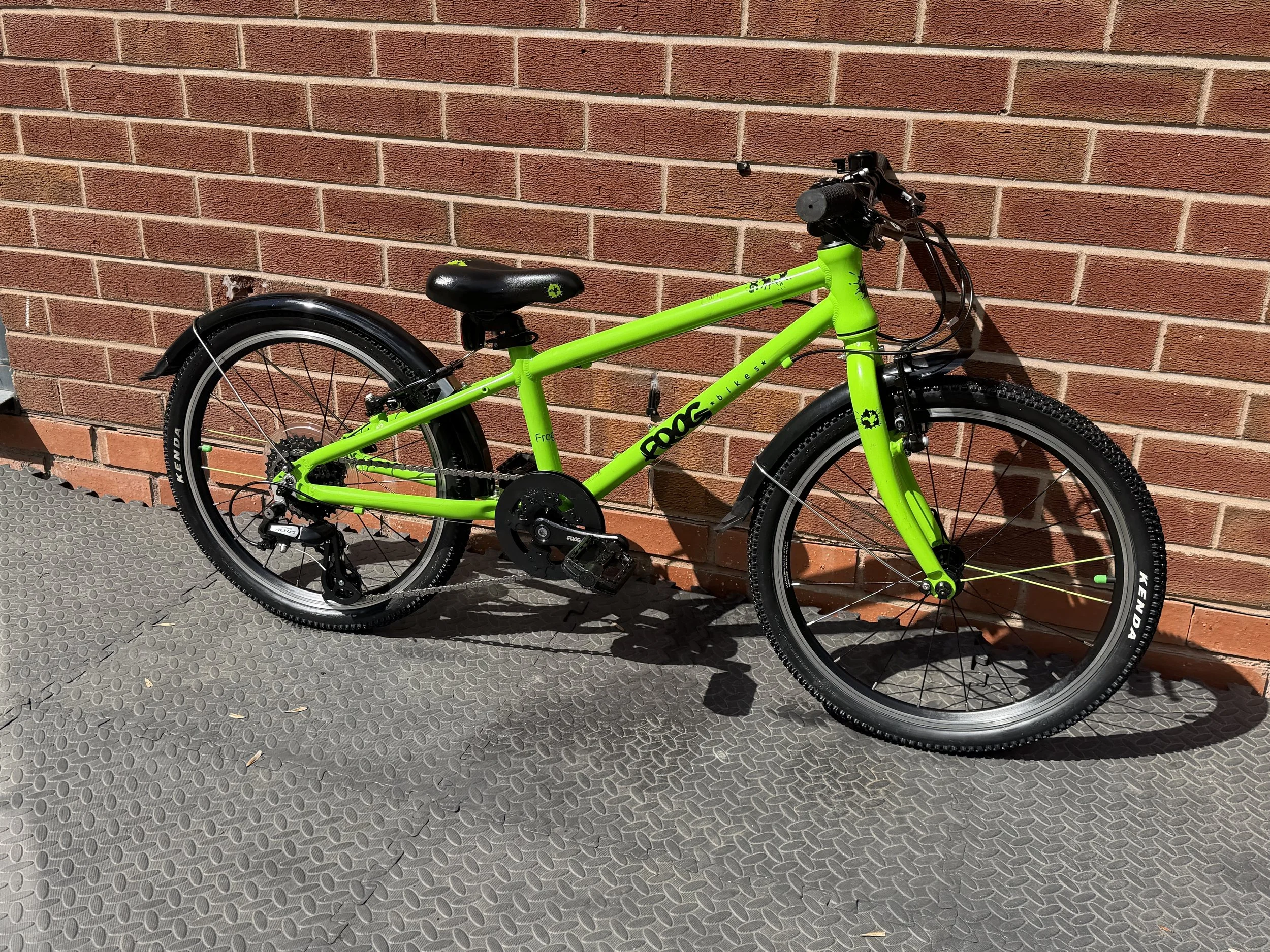 Green Frog 52 8 .jpg