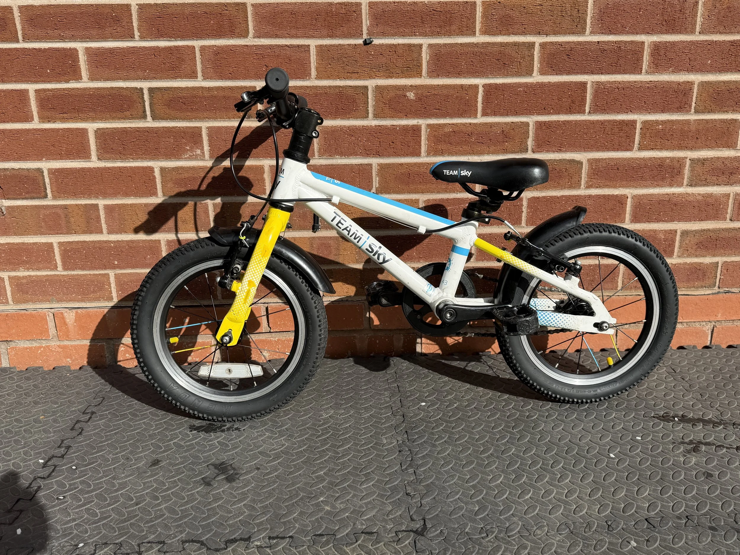 Frog Bike For Sale 1 .jpg