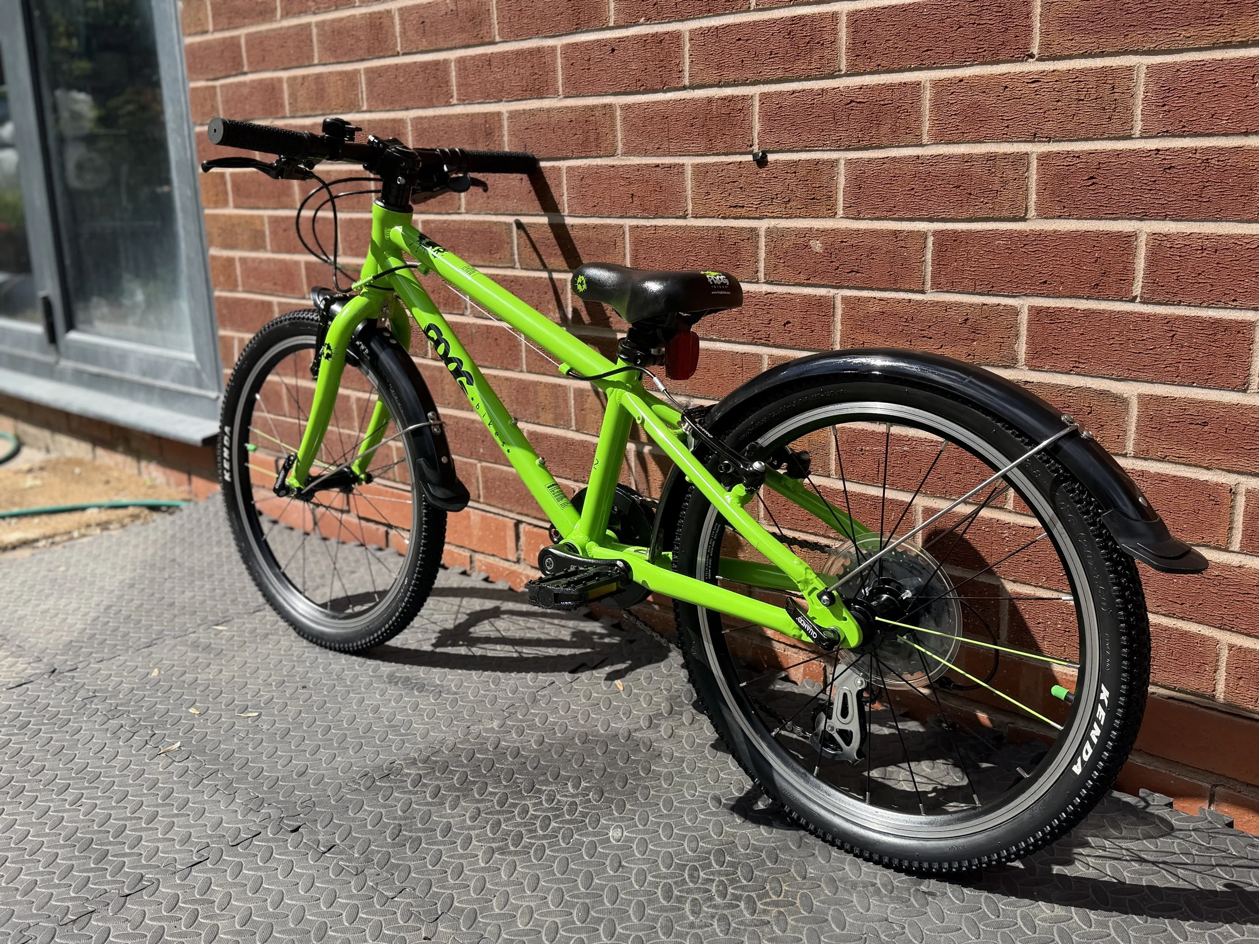 Green Frog 52 4 .jpg