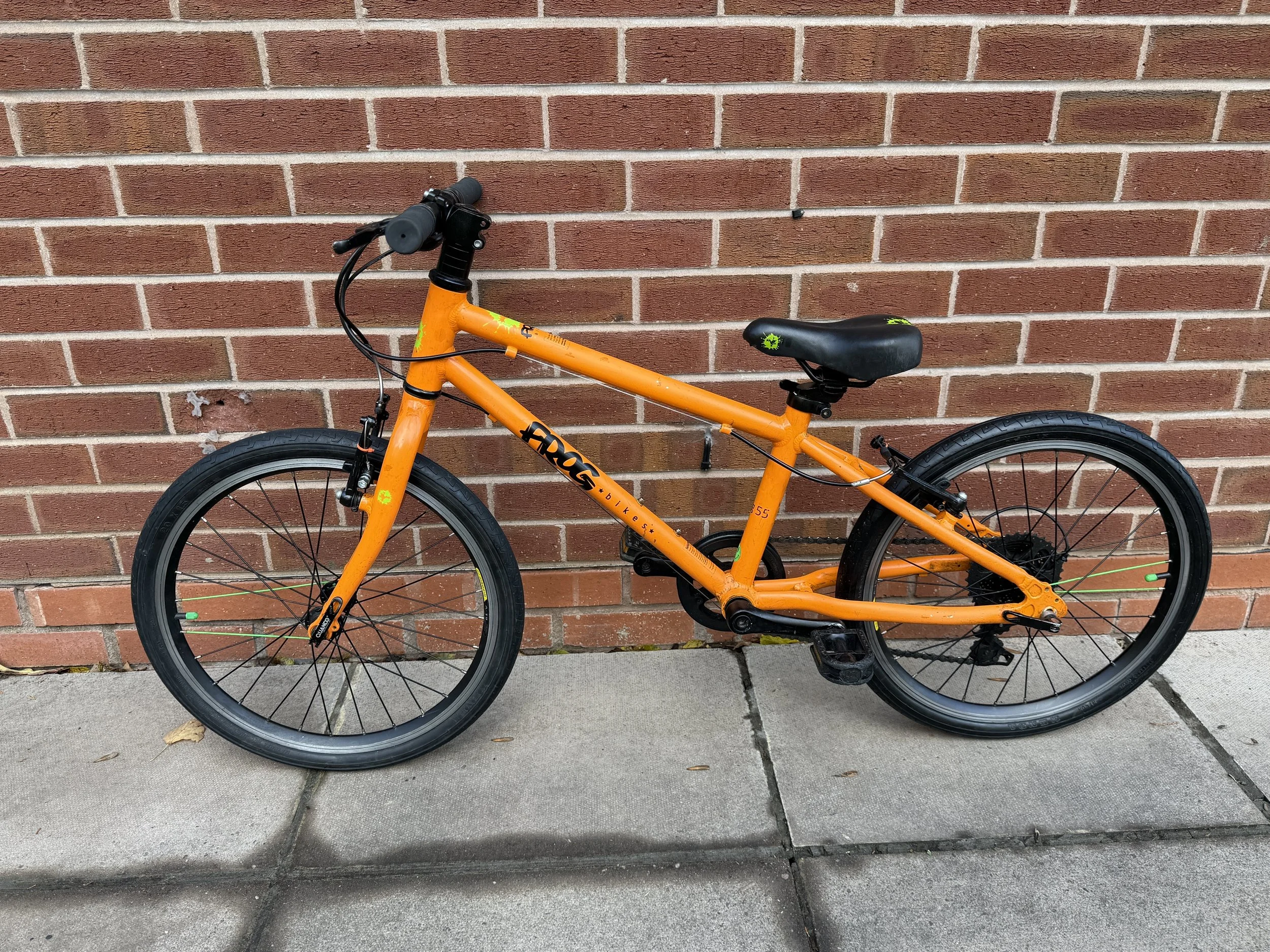 Frog Bike 55 1.jpg