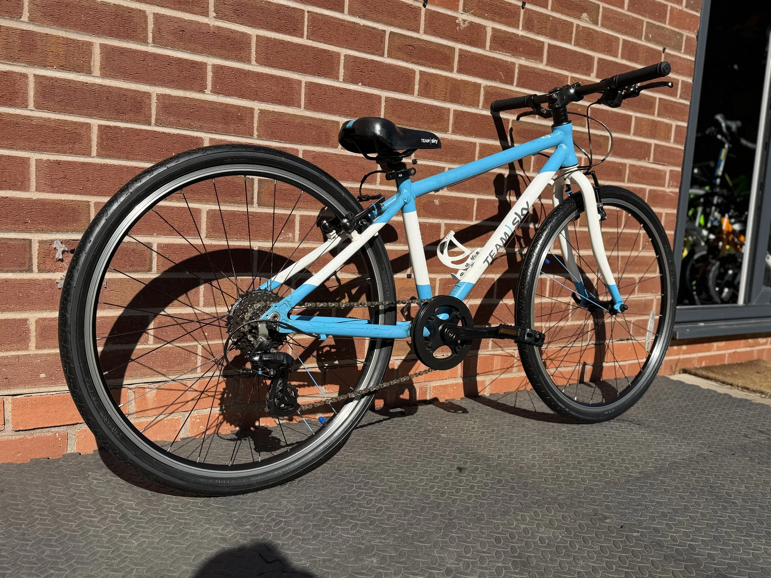 Team Sky Frog 69 7 .jpg