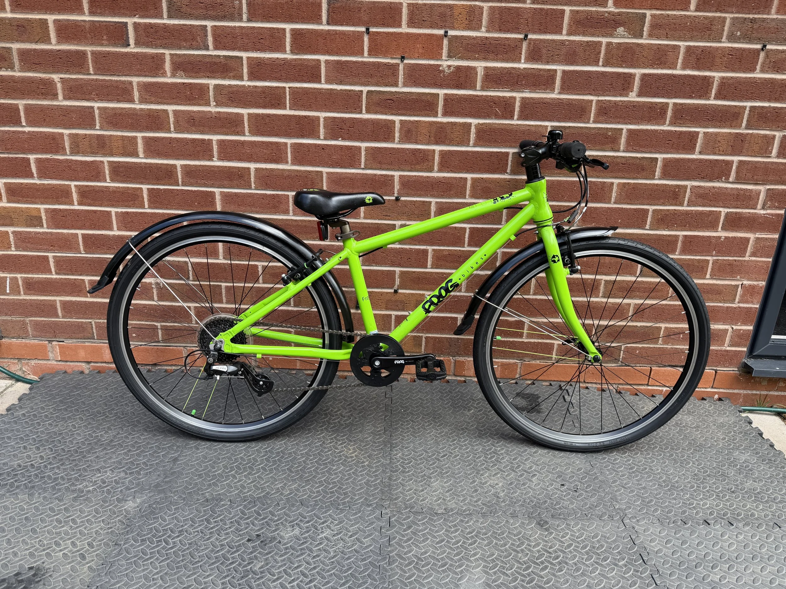 Green Frog 69 6 .jpg