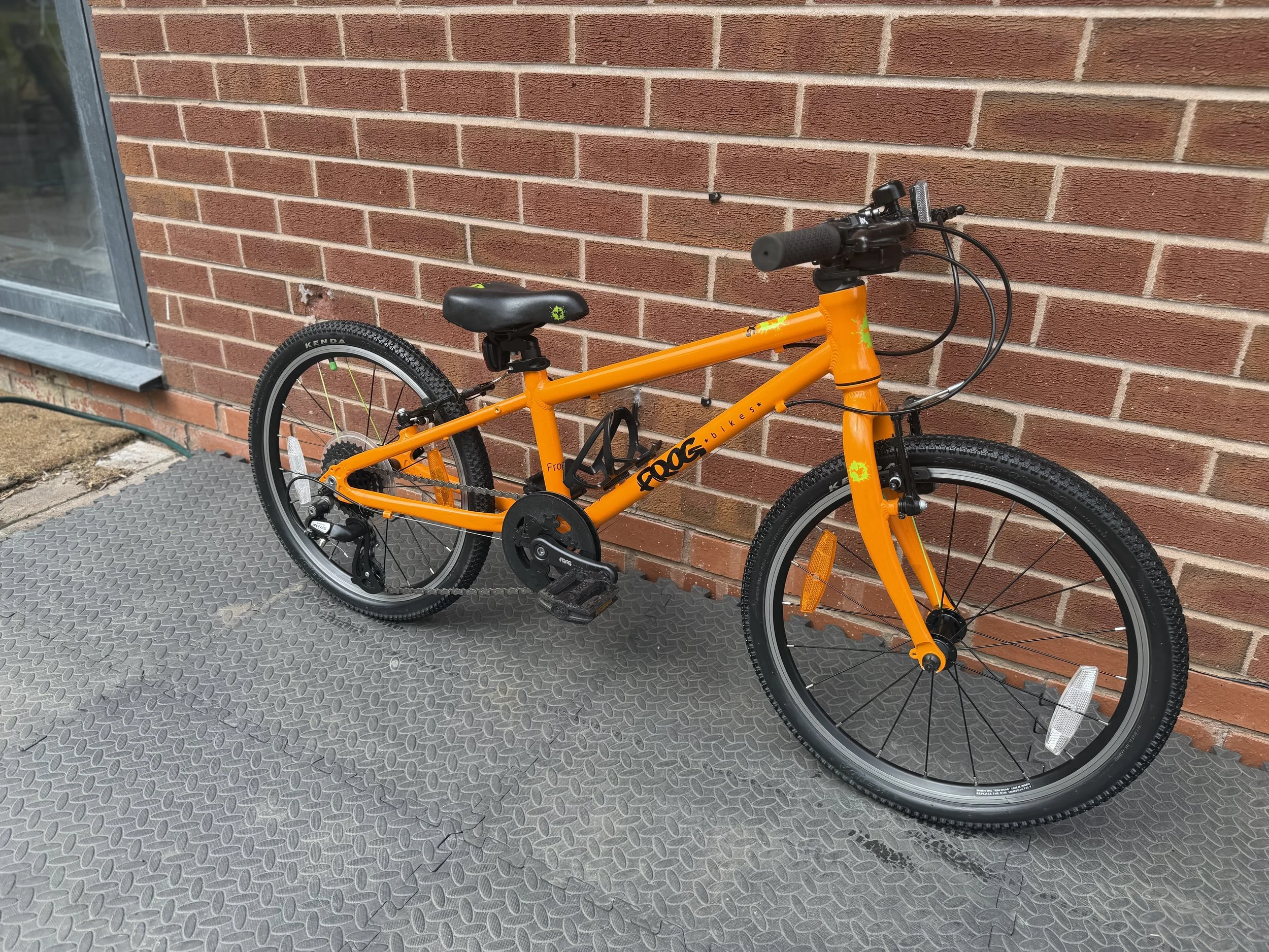 Orange Frog 52 8.jpg