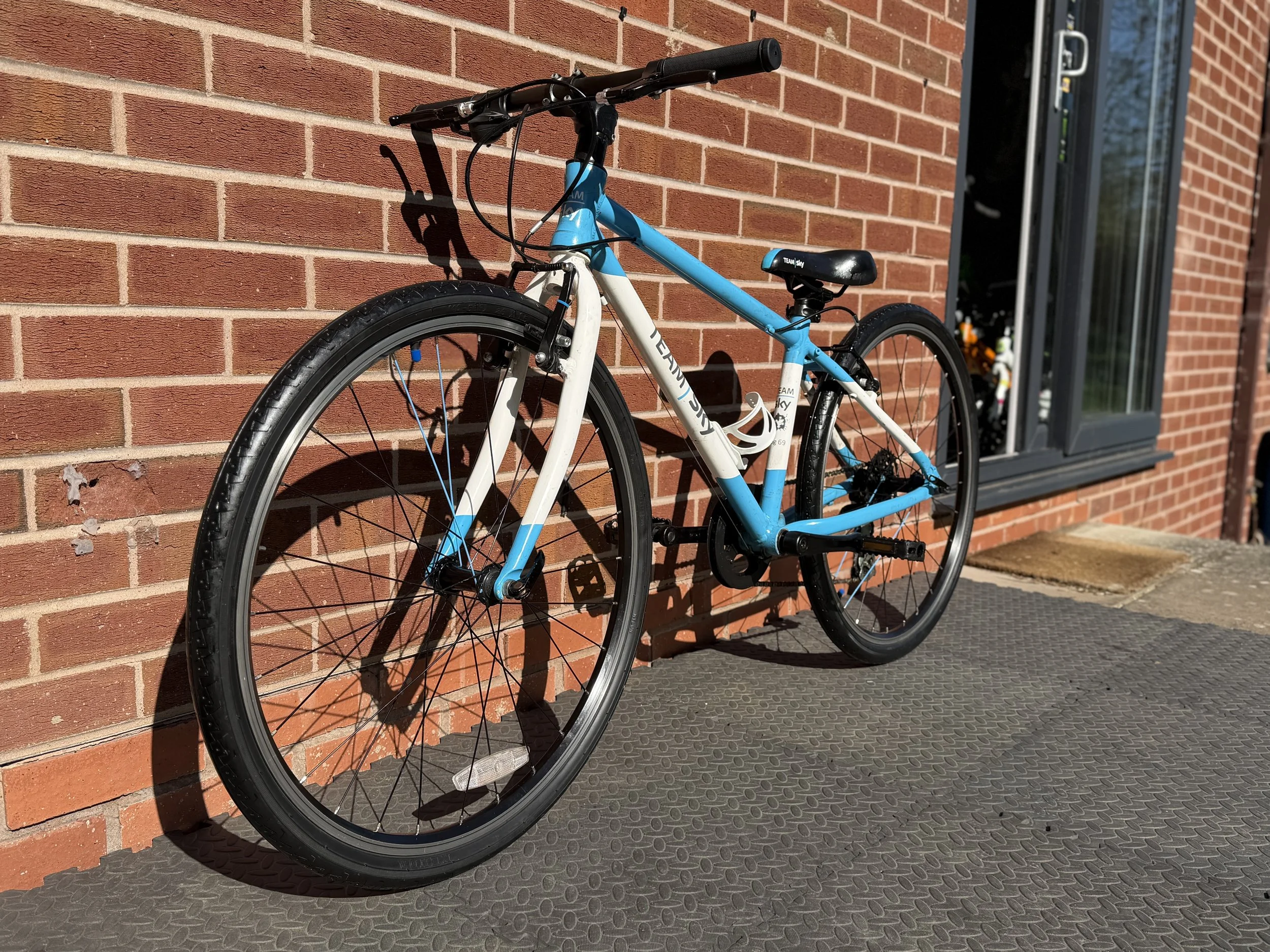 Team Sky Frog 69 5.jpg