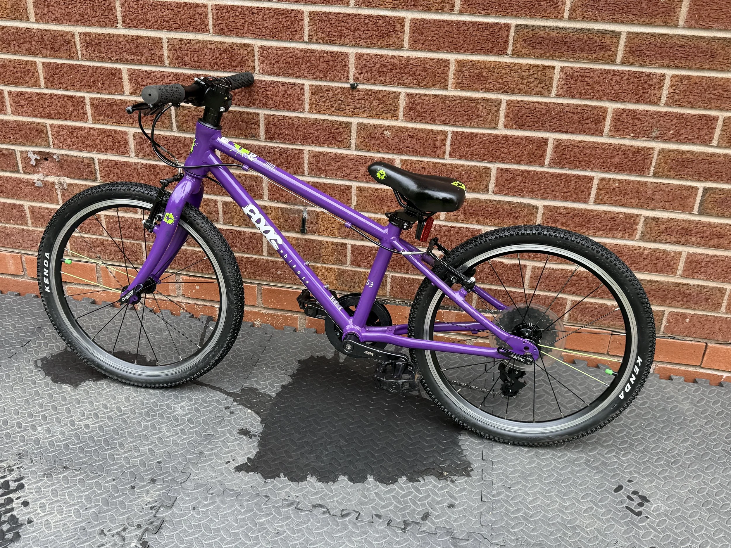Purple Frog 53 3 .jpg