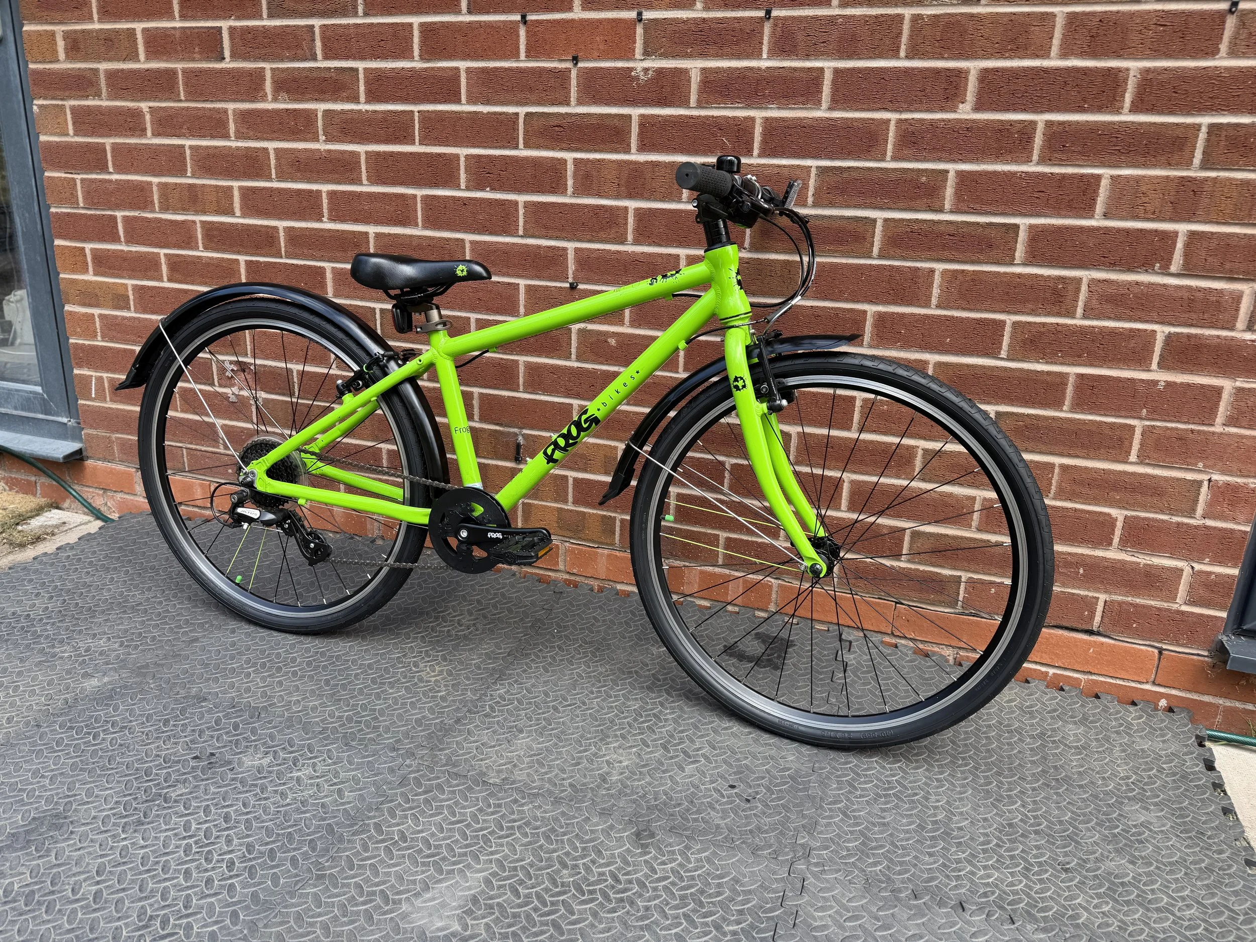 Green Frog 69 8 .jpg