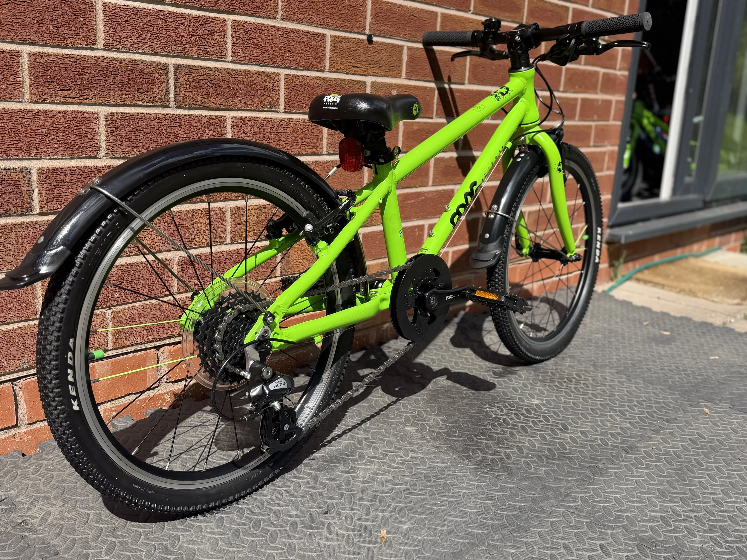 Green Frog 52 10.jpg