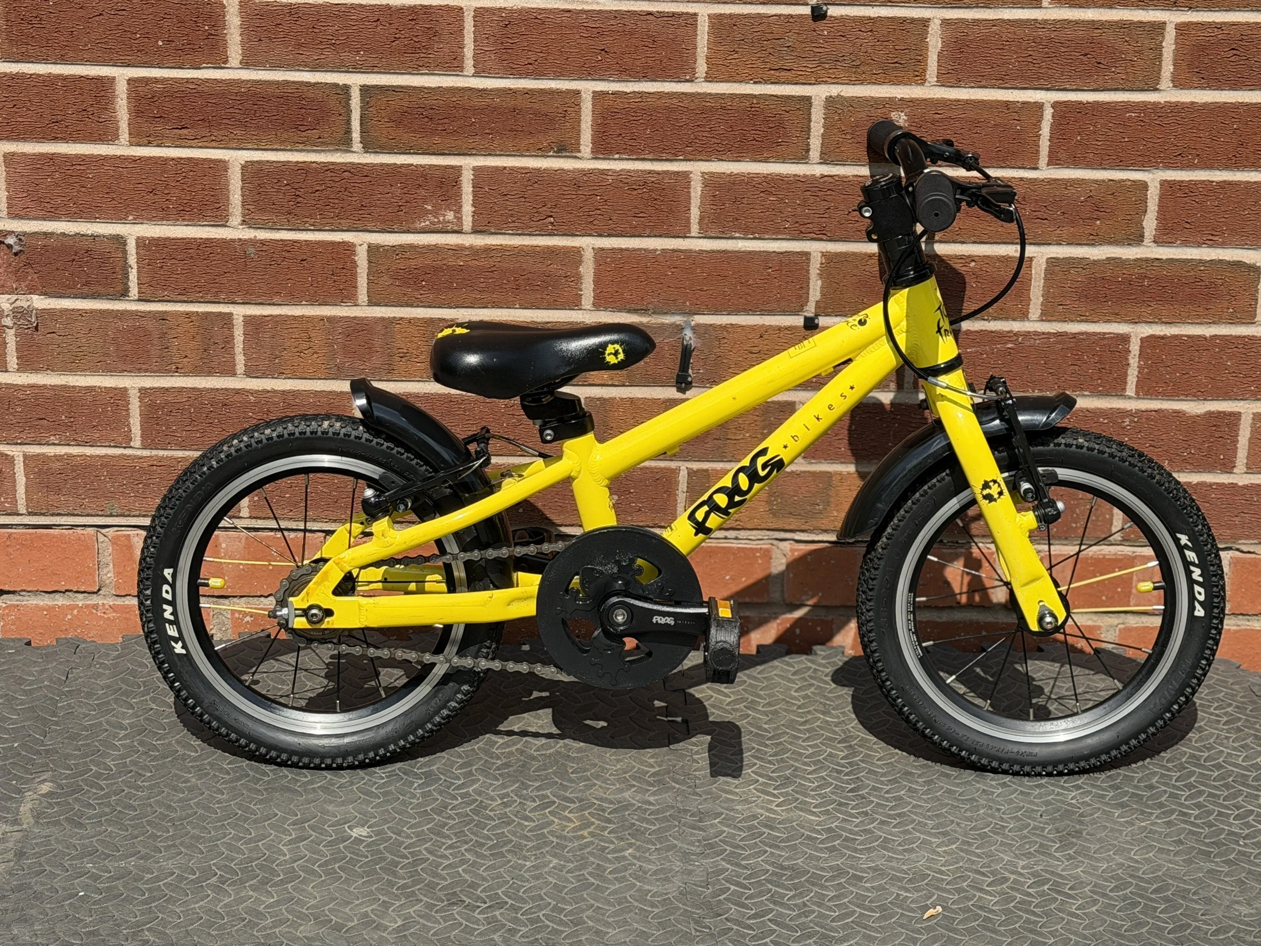 Yellow Frog 40 6 .jpg