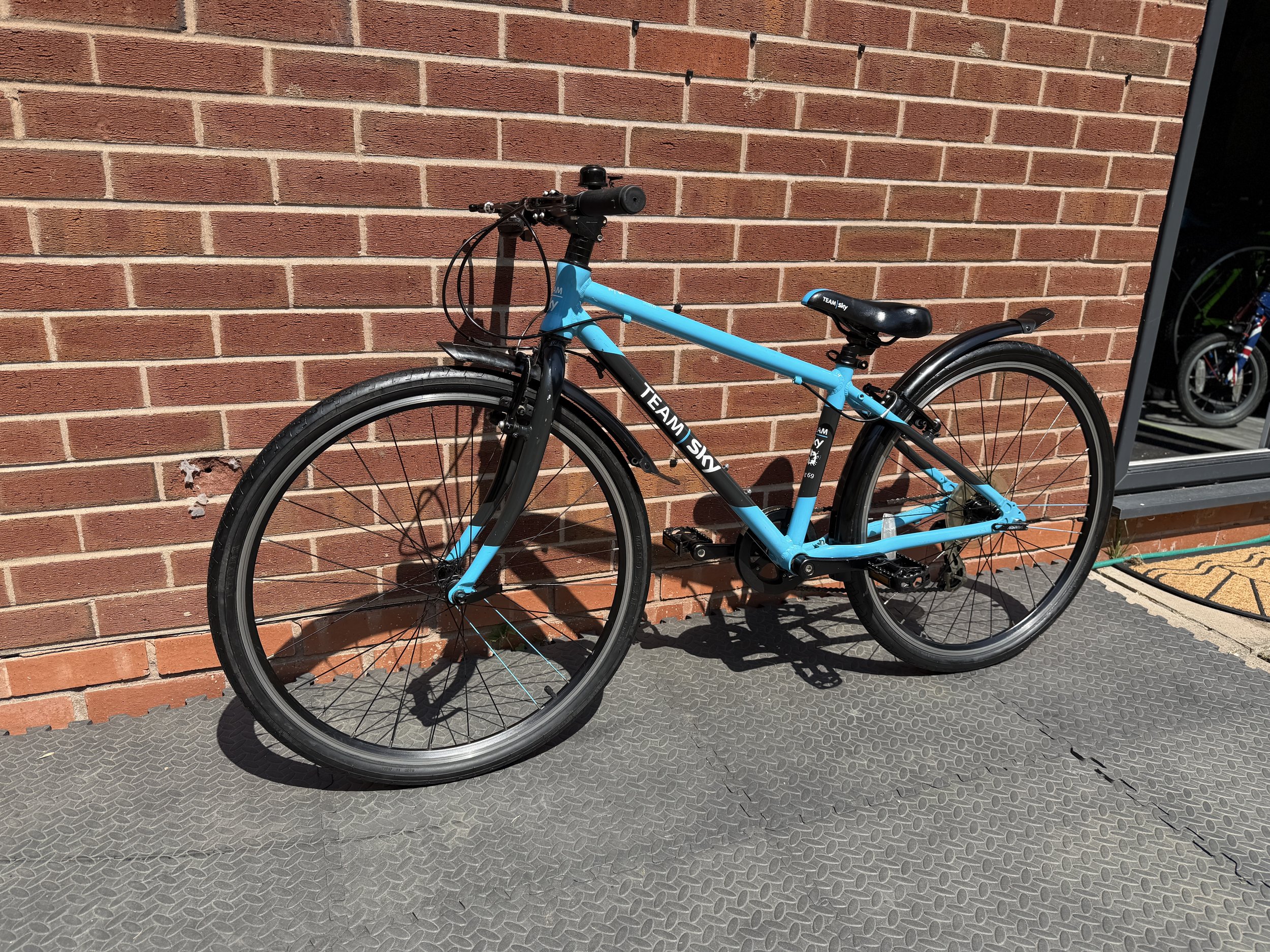Team Sky Pro Cycling Frog Bike 2.jpg
