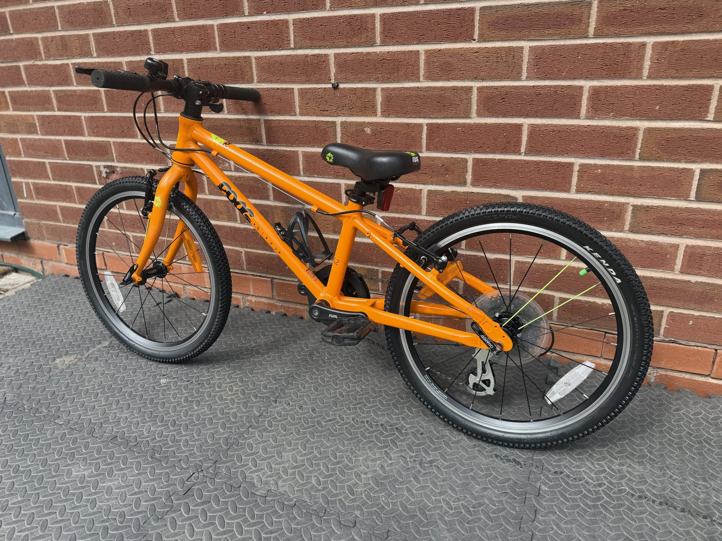 Orange Frog 52 3 .jpg