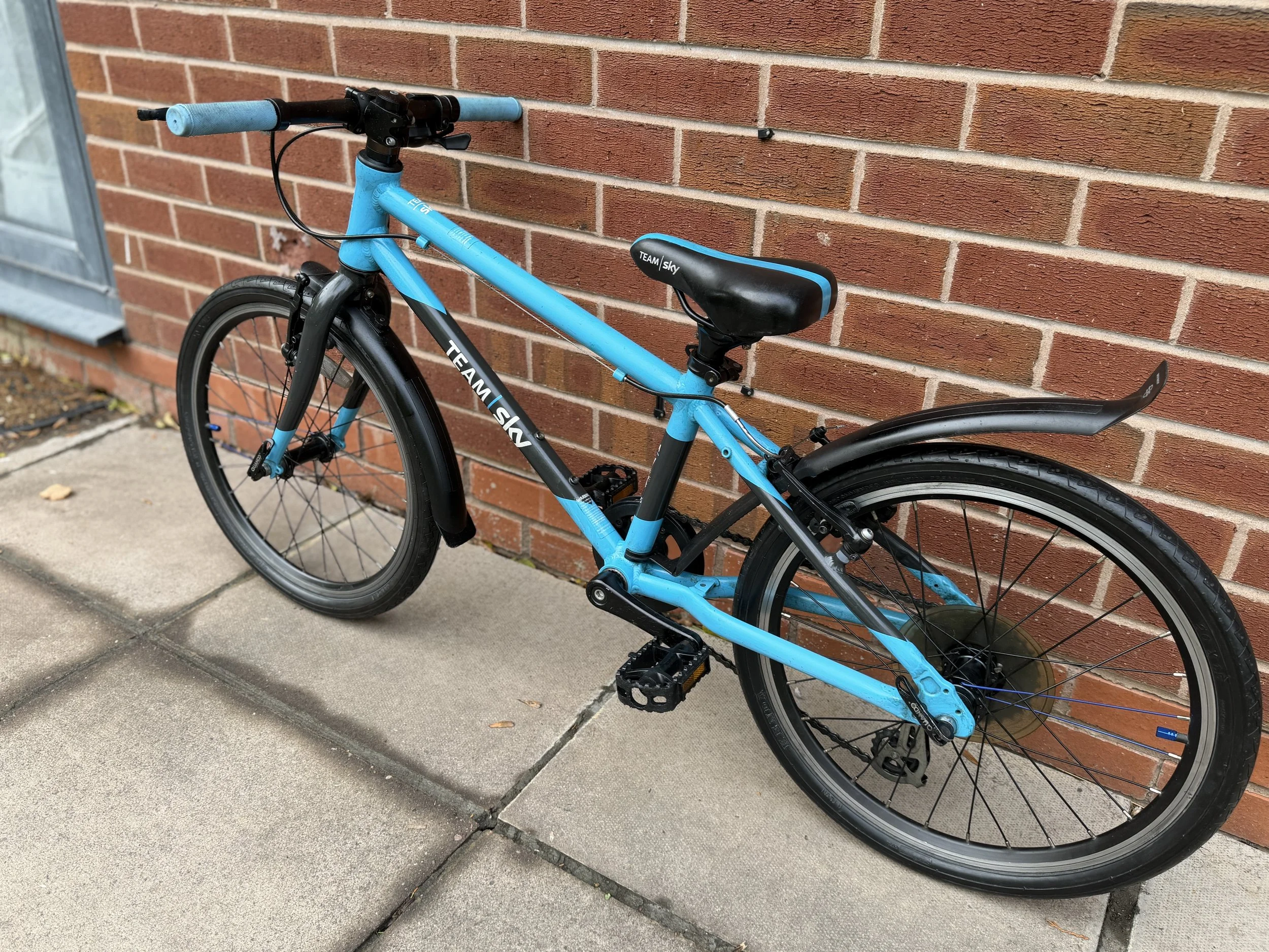 Frog Bikes for sale 3 .jpg
