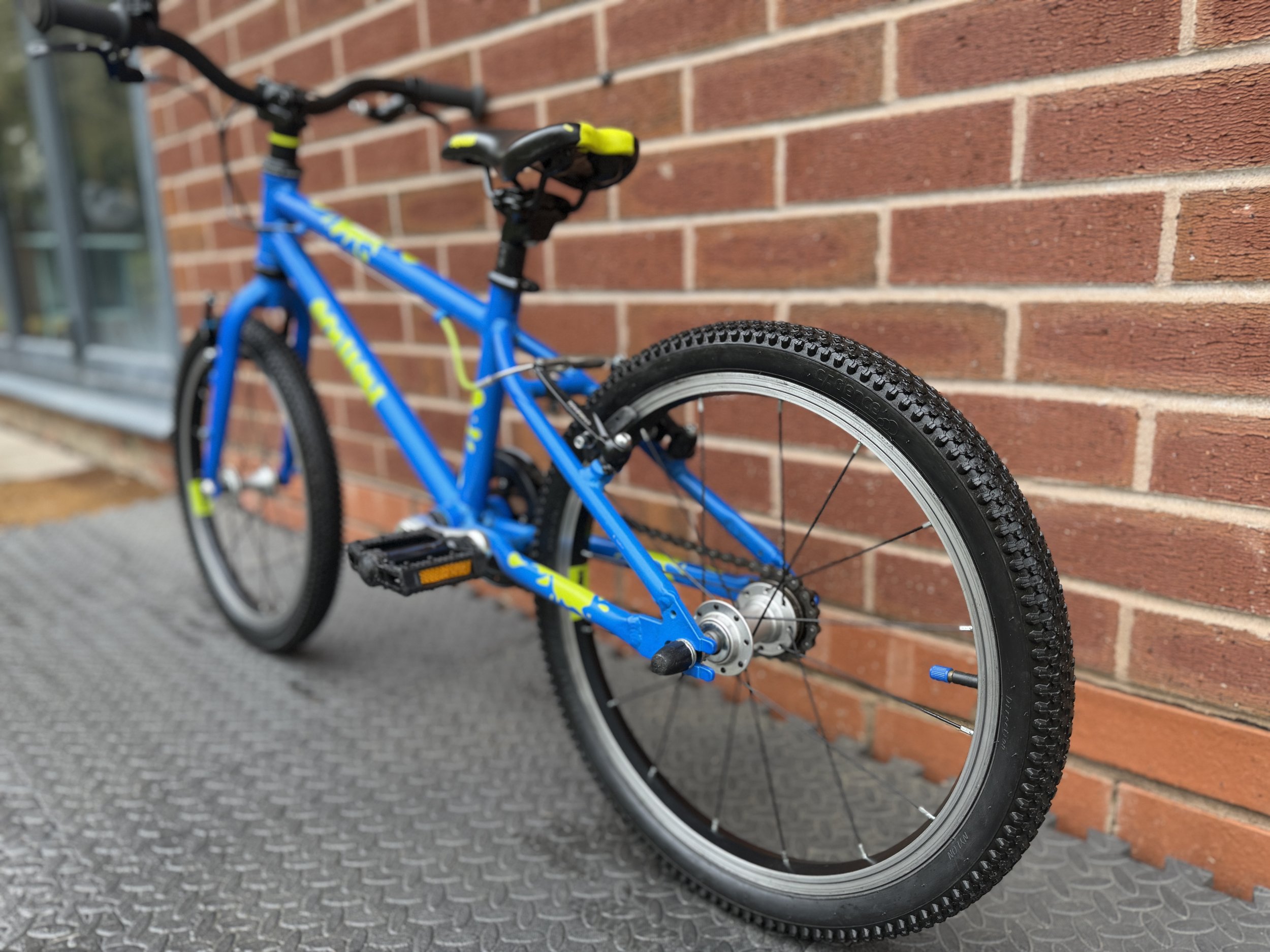 Blue 18” Squish Bike 4 .jpg