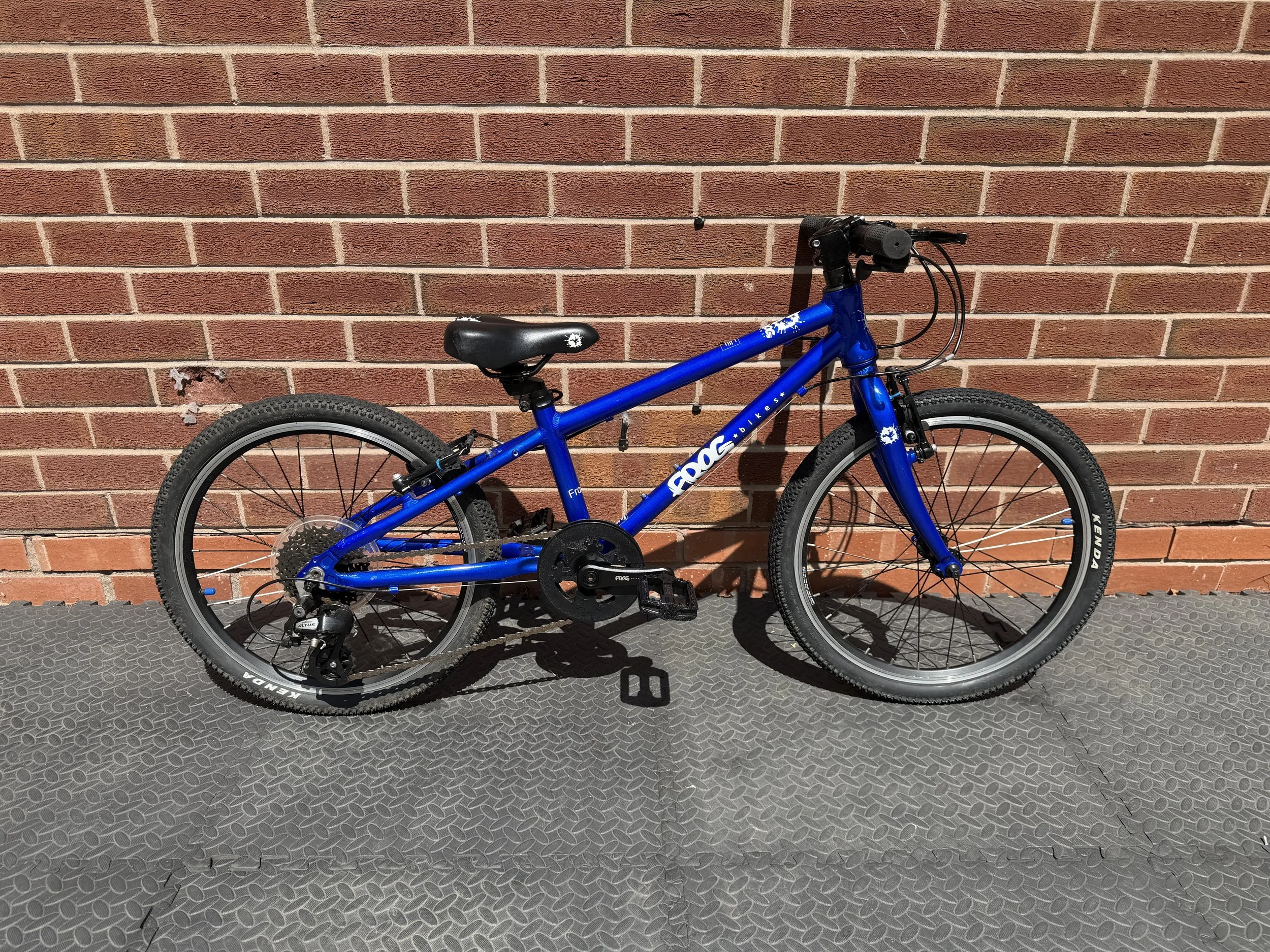 Electric Blue Frog 52 For Sale 6  2.jpg