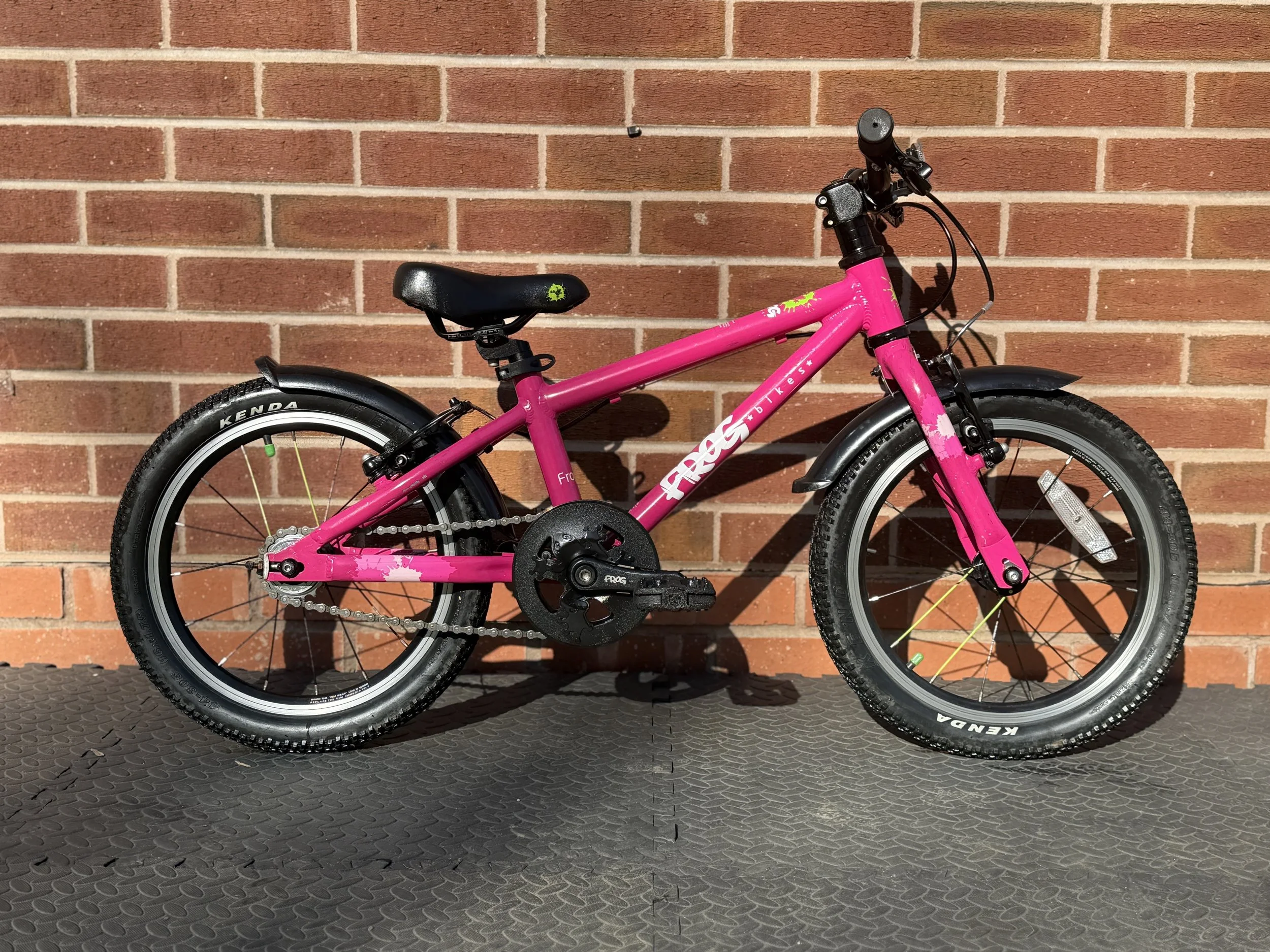 Pink Frog Bike 48 8.jpg