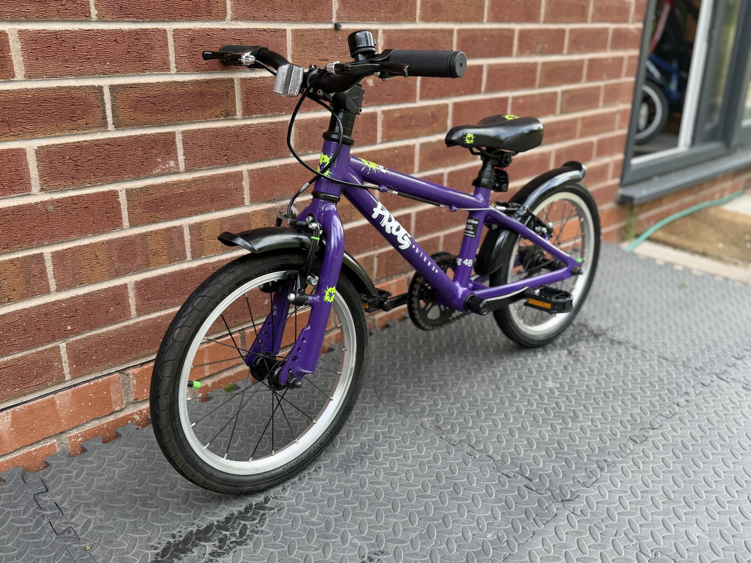 Purple Frog Bike 48 5 .jpg