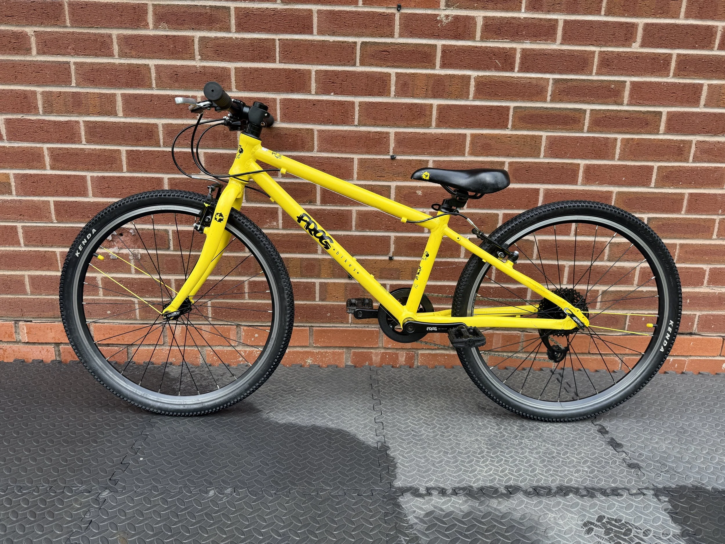 Frog 24” hybrid 1 .jpg