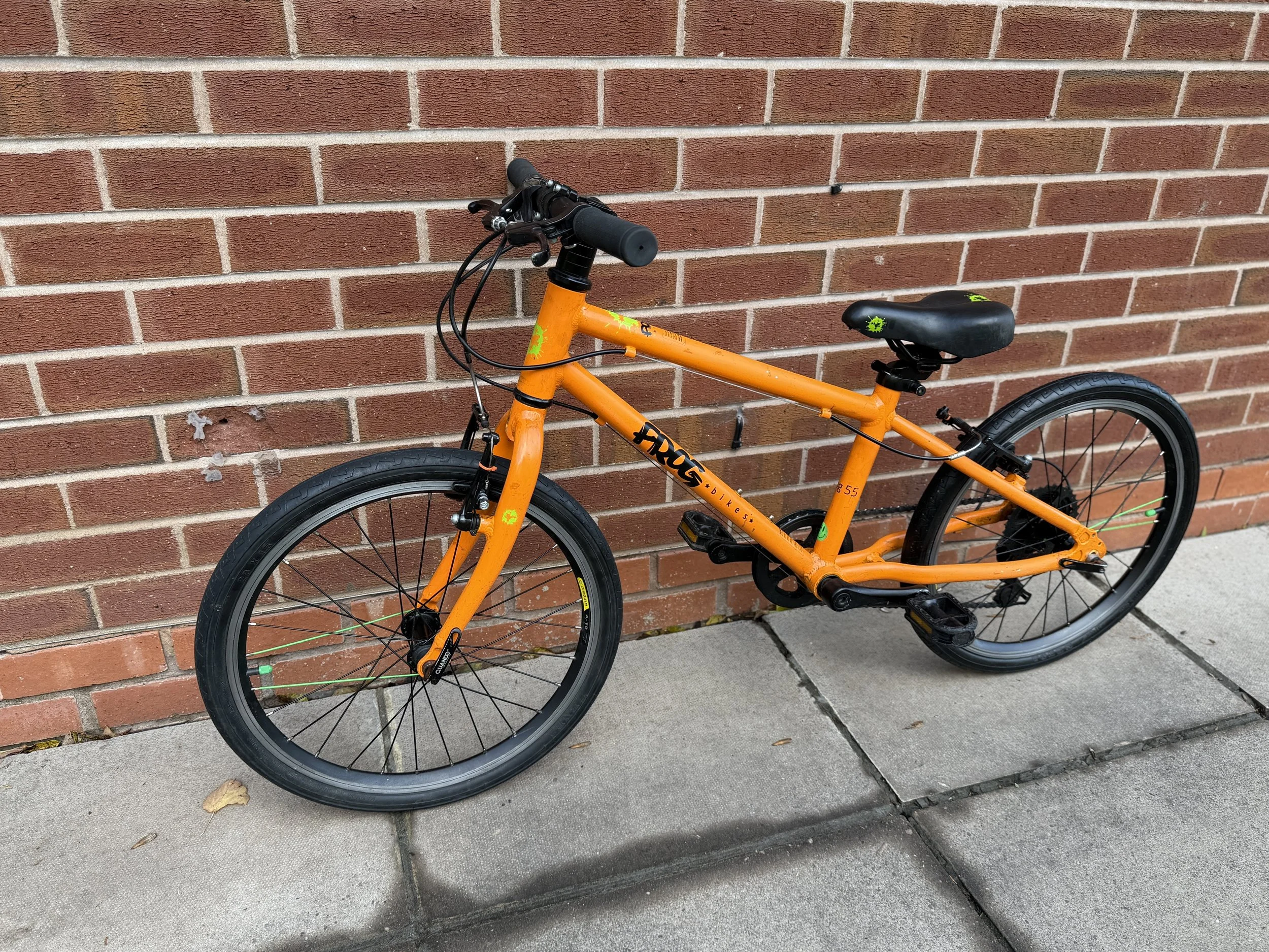 Frog Bike 55 2 .jpg