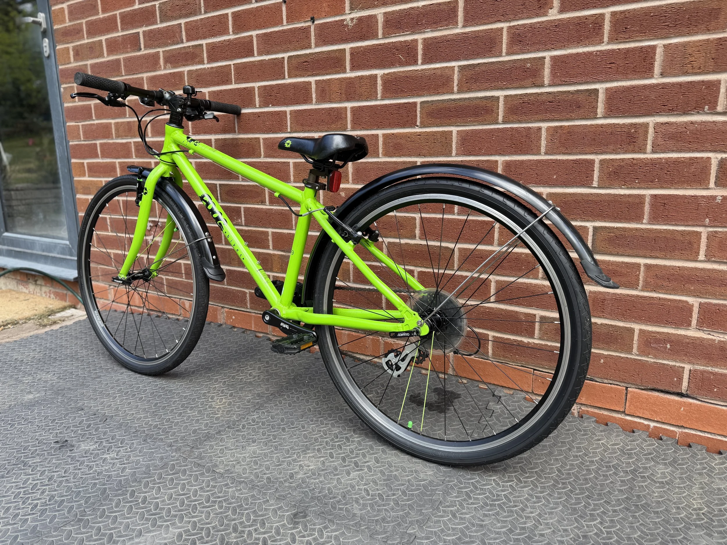 Green Frog 69 4 .jpg