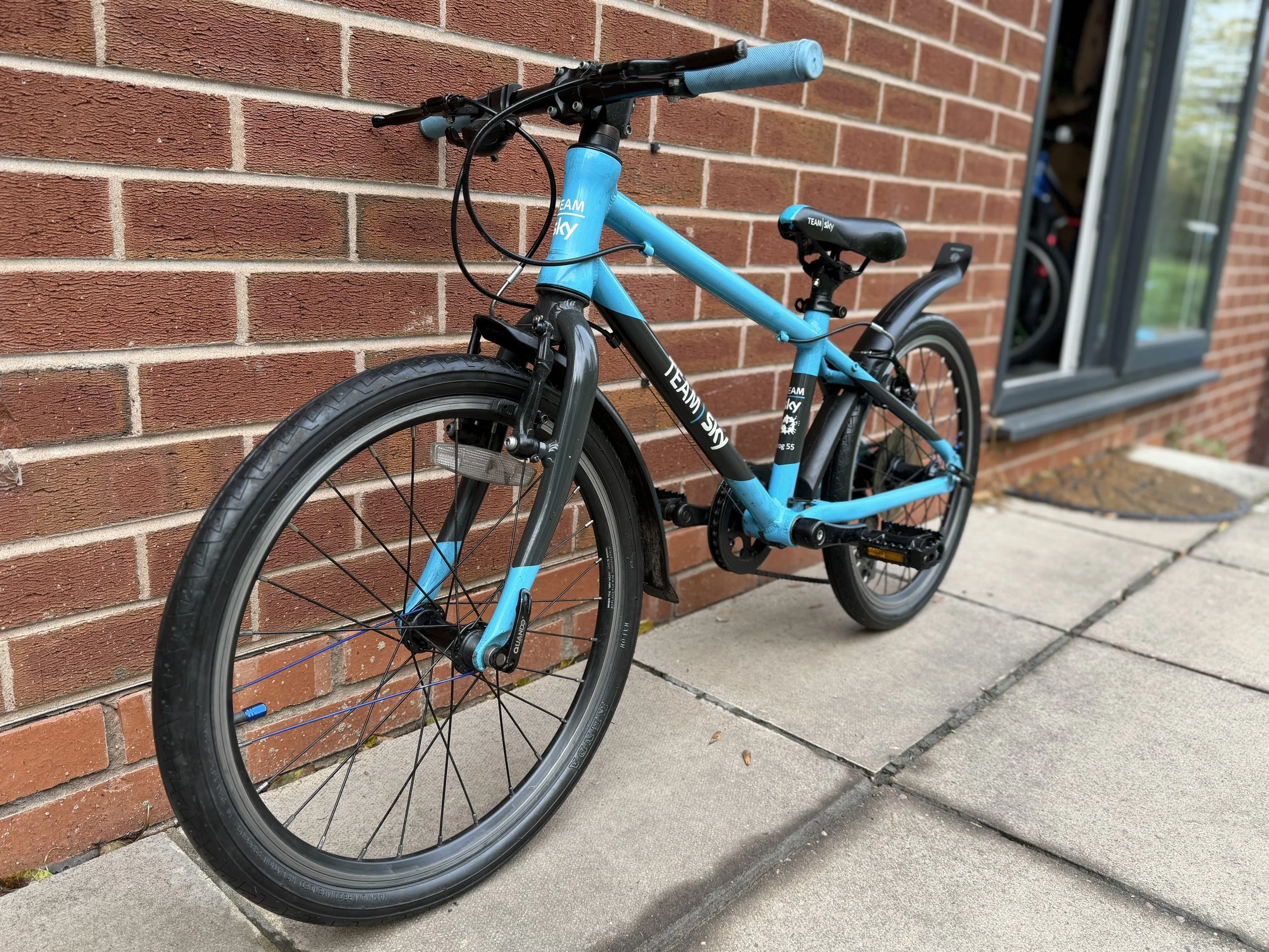 Frog Bikes for sale 5 .jpg