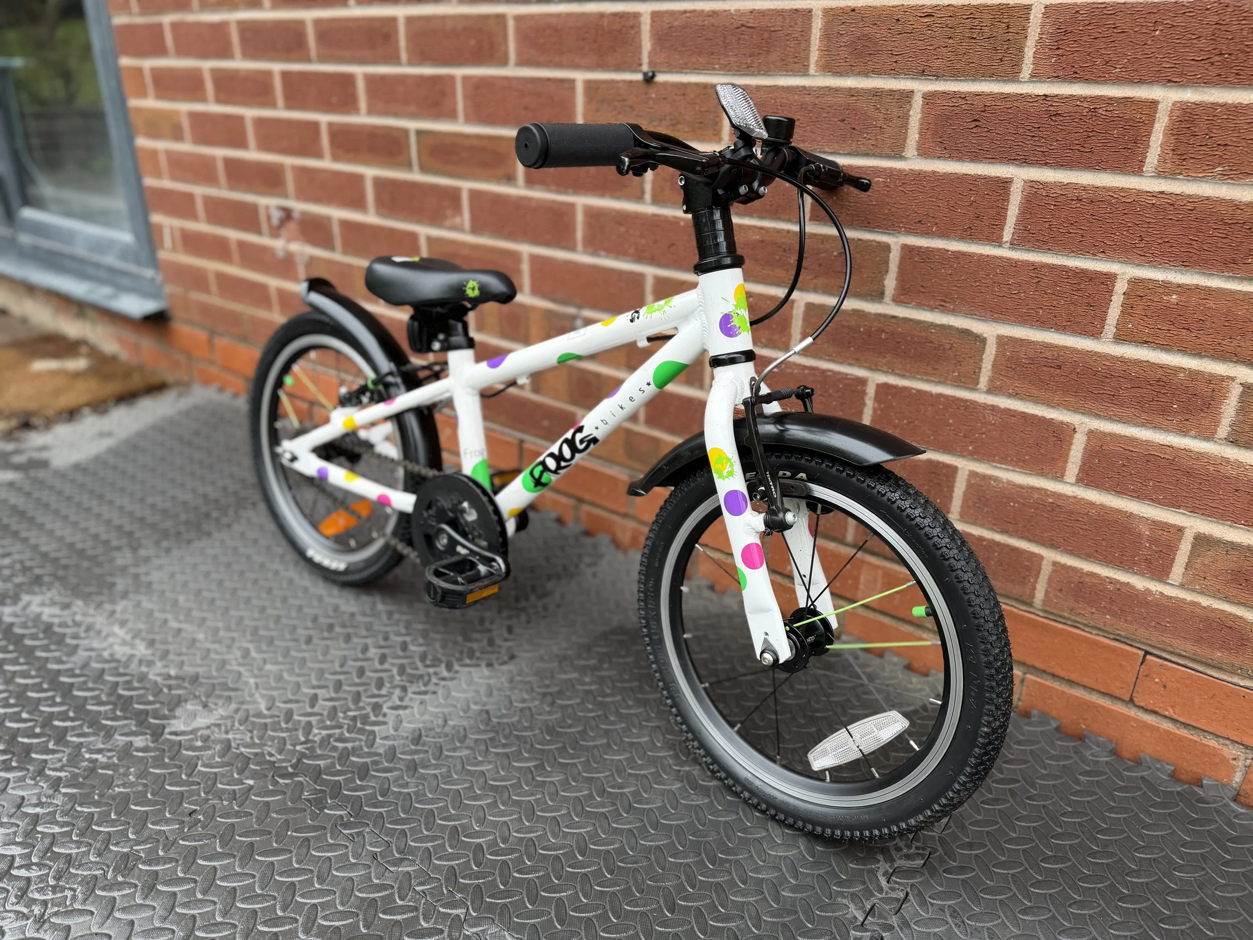 White Spotty Frog 44 8 .jpg