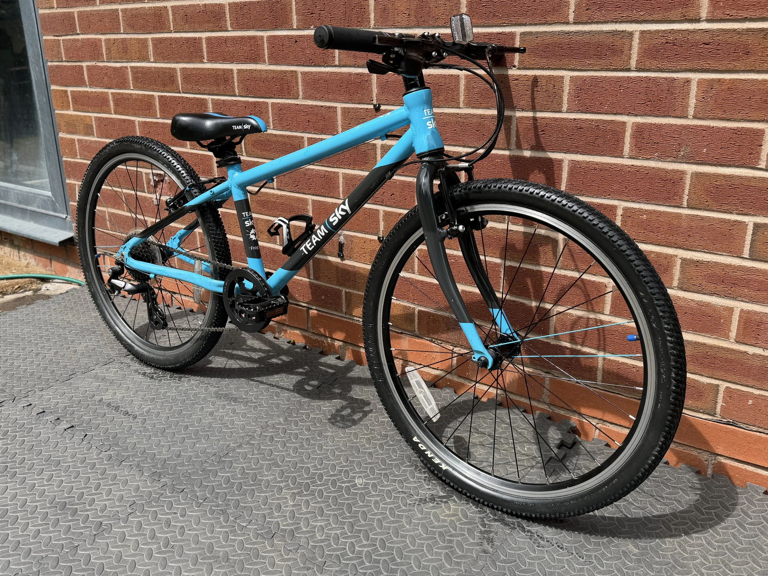 Team Sky Frog Bike 9 .jpg