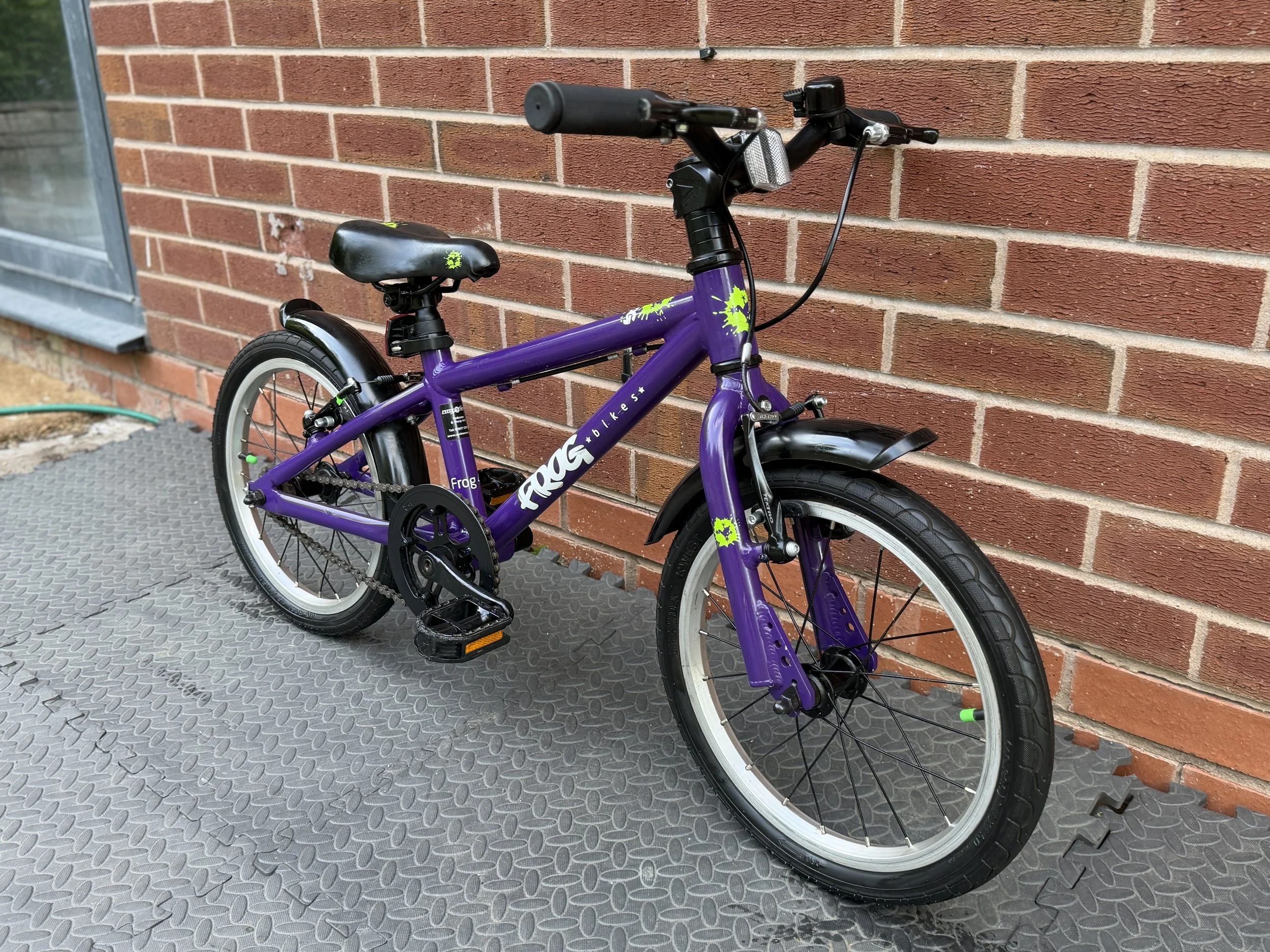 Purple Frog Bike 48 9 .jpg