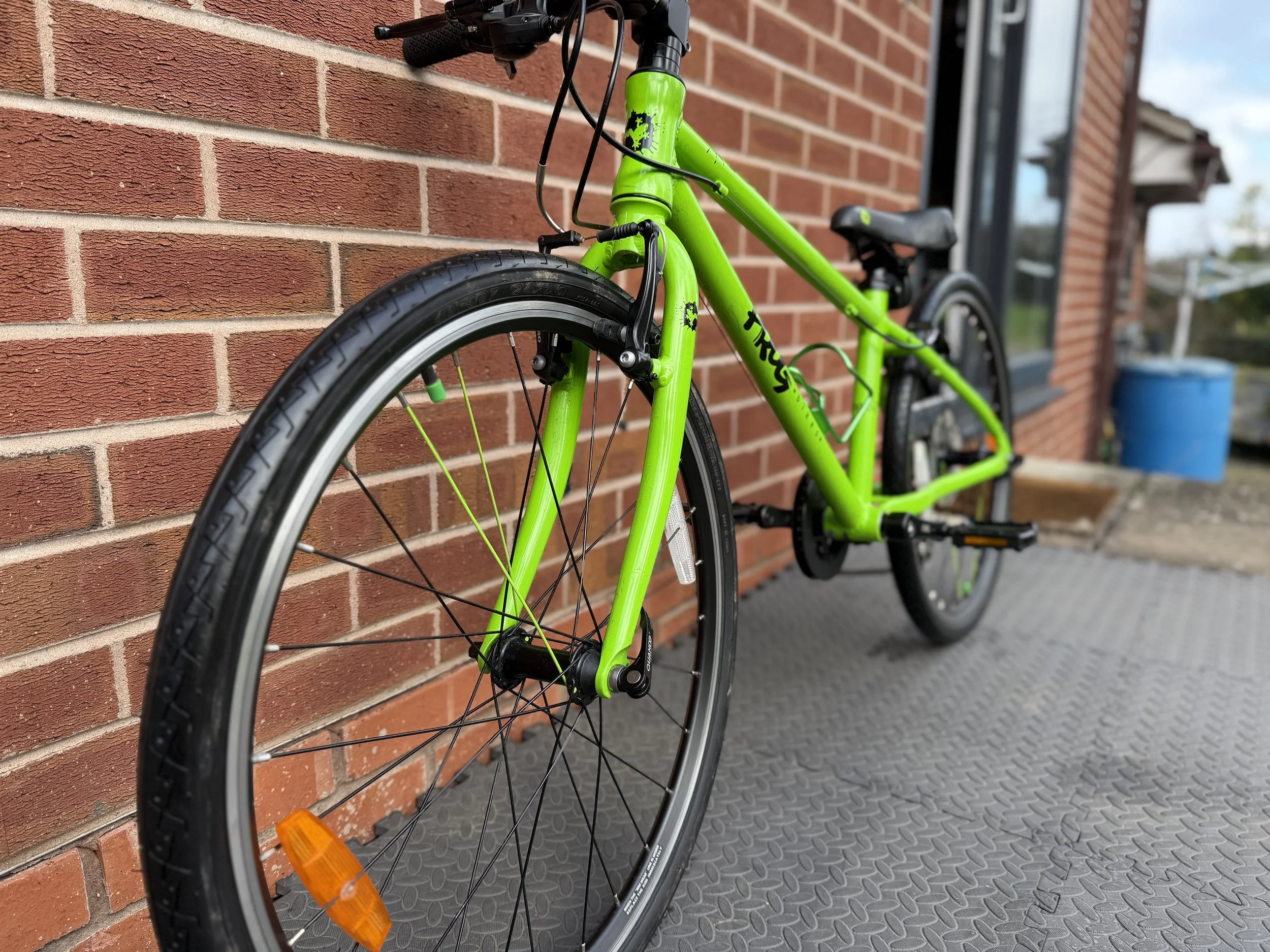 Pre loved green Frog 62 5.jpg