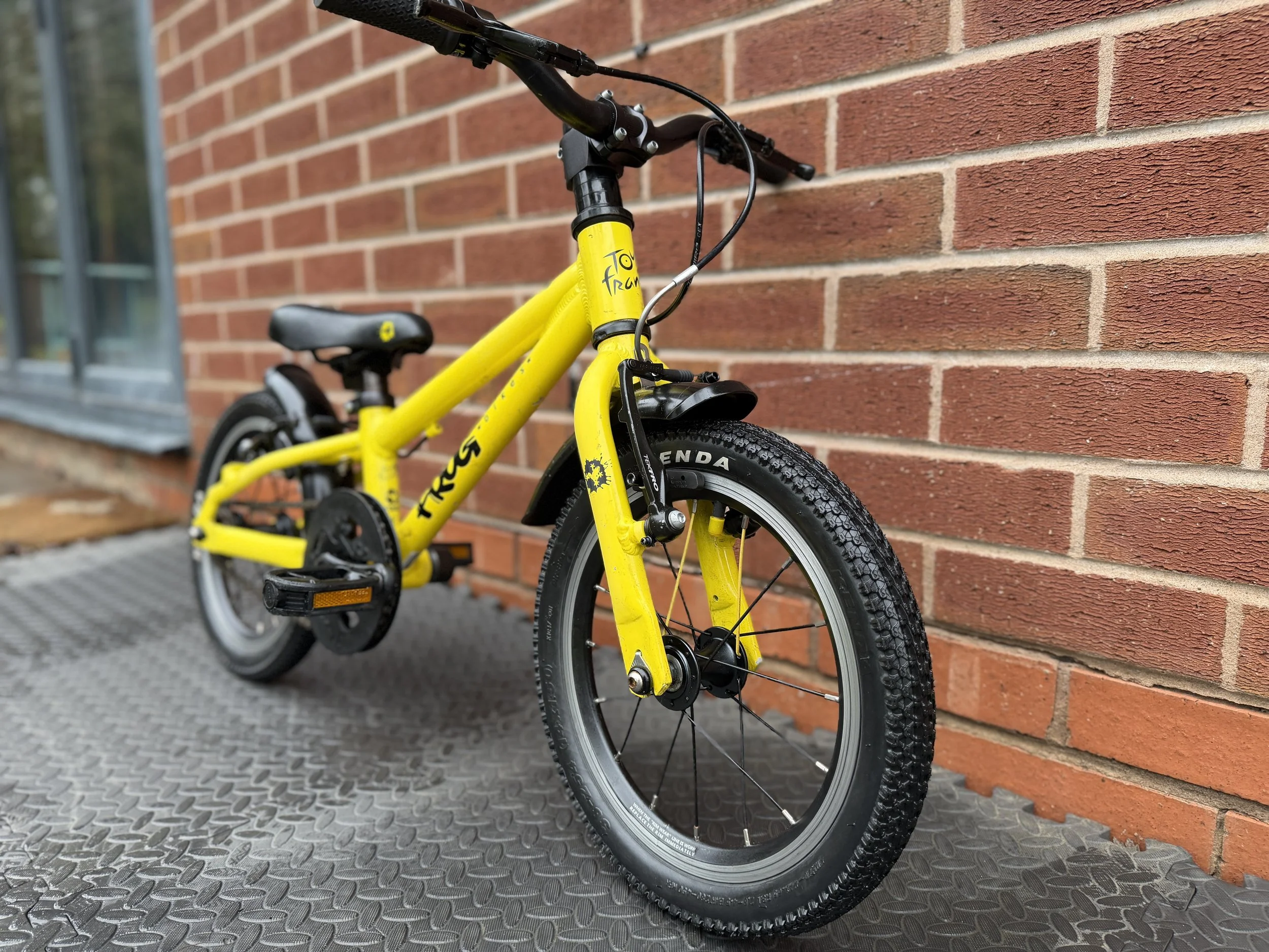 Yellow Frog Bike 40 4 .jpg