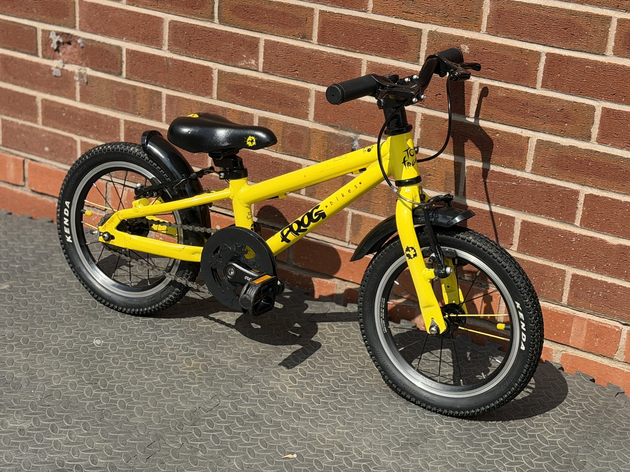 Yellow Frog 40 8 .jpg