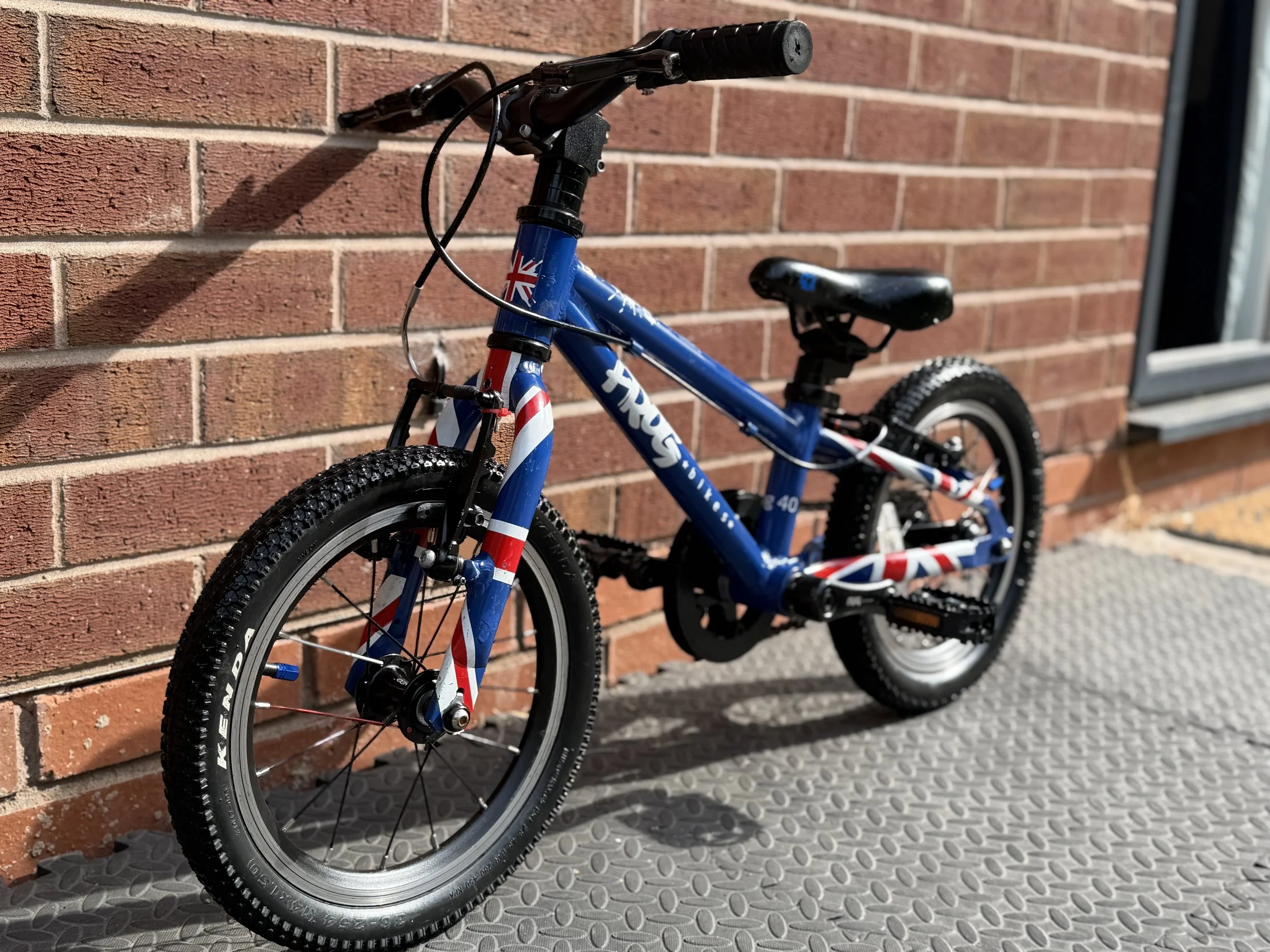 Blue Frog 40 first pedal bike 5  2.jpg