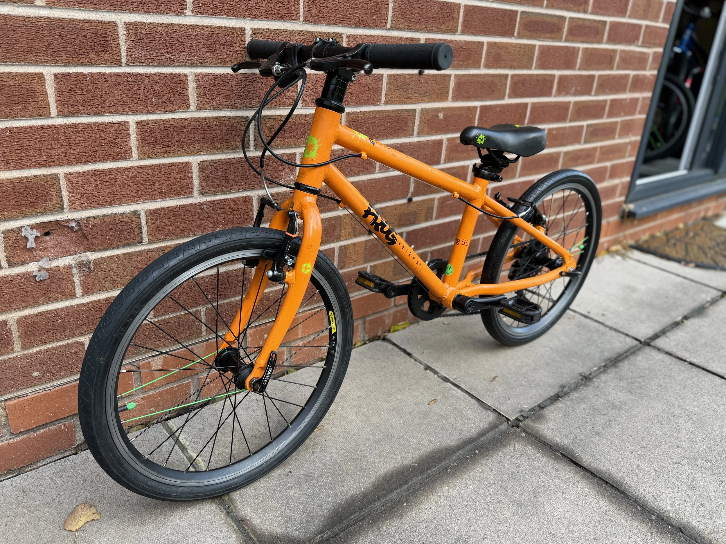 Frog Bike 55 5 .jpg